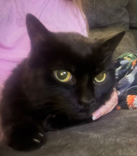 Photo of Onyx