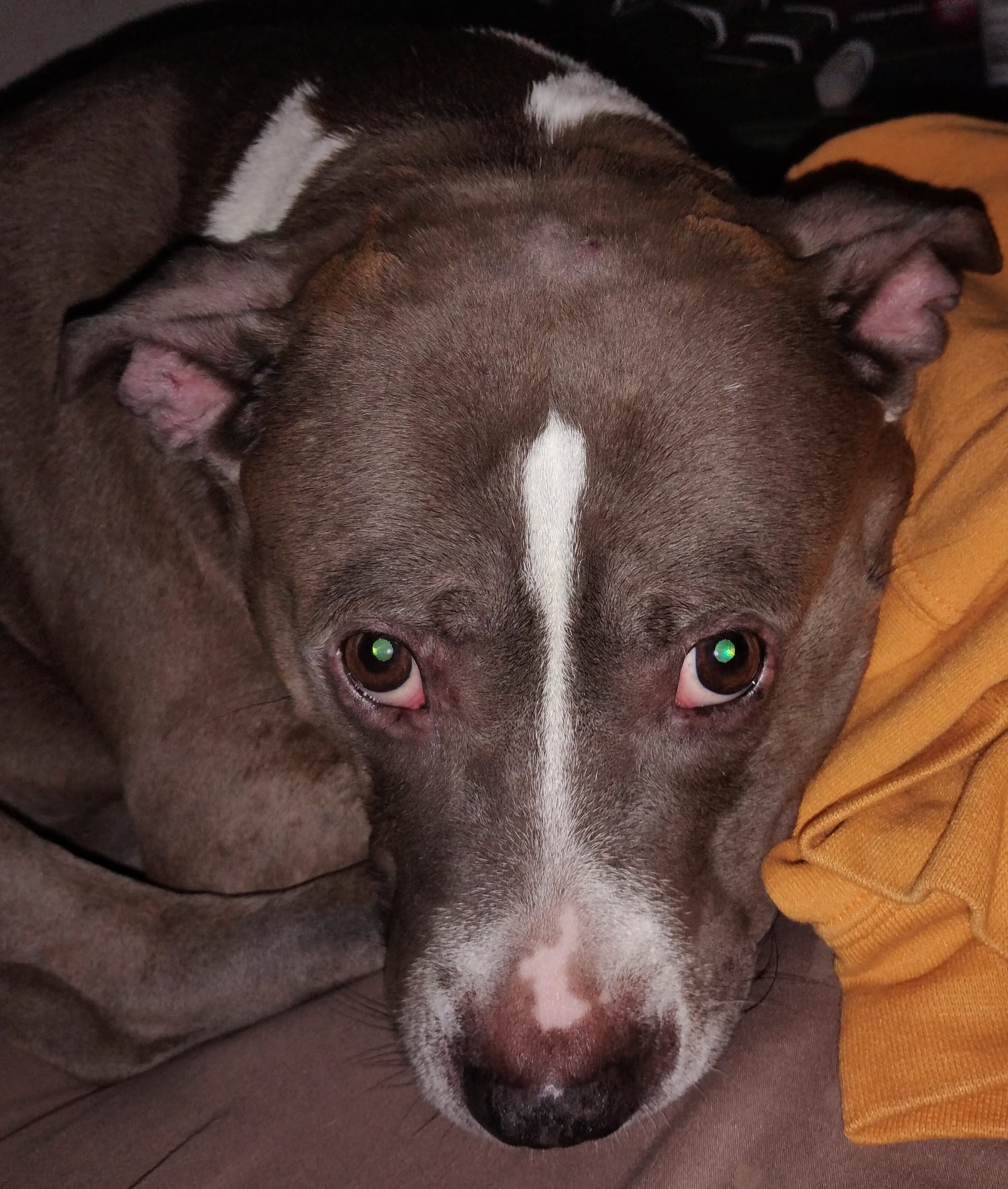 Photo of Zoe