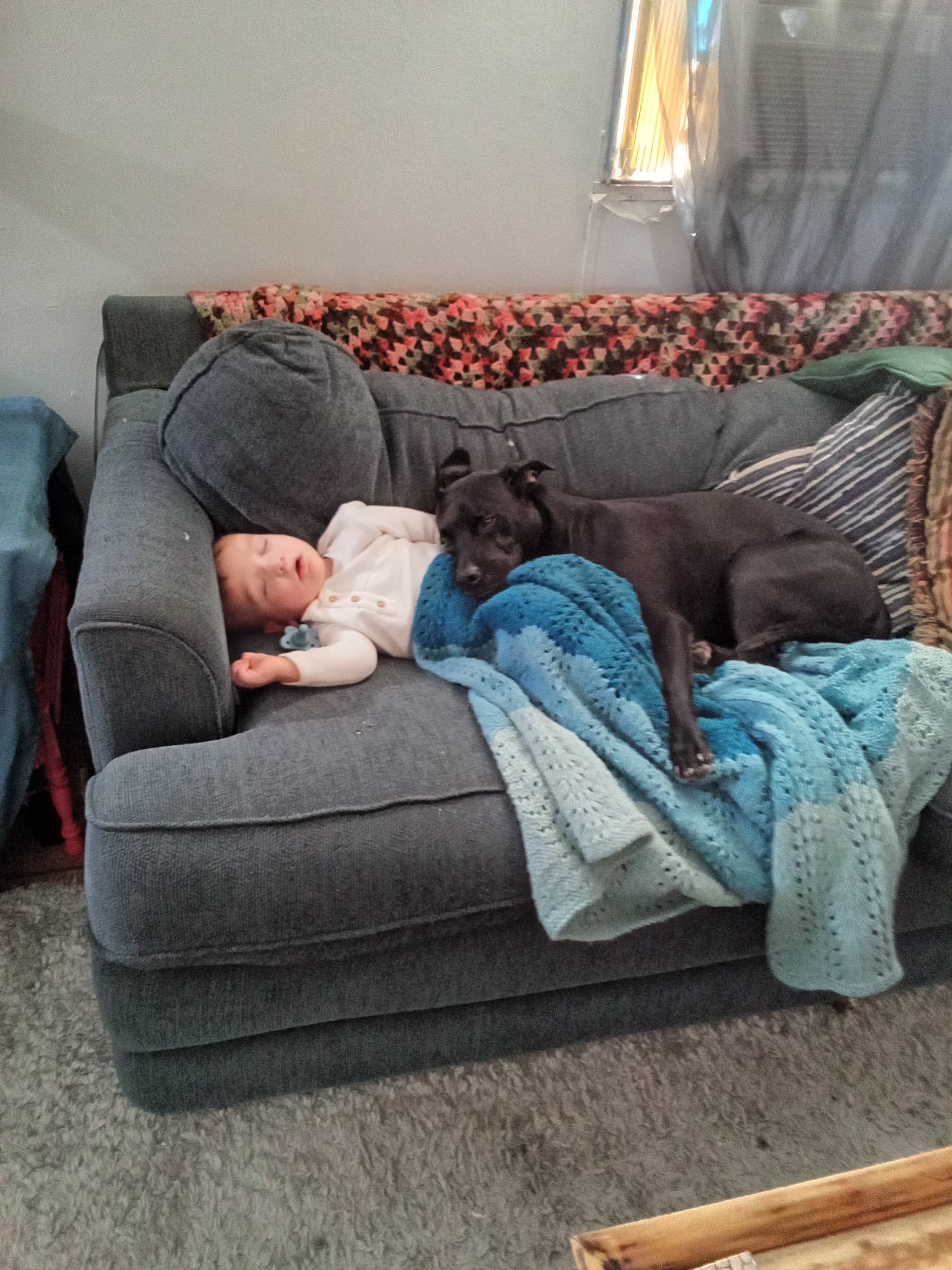 Photo of Babydoggie