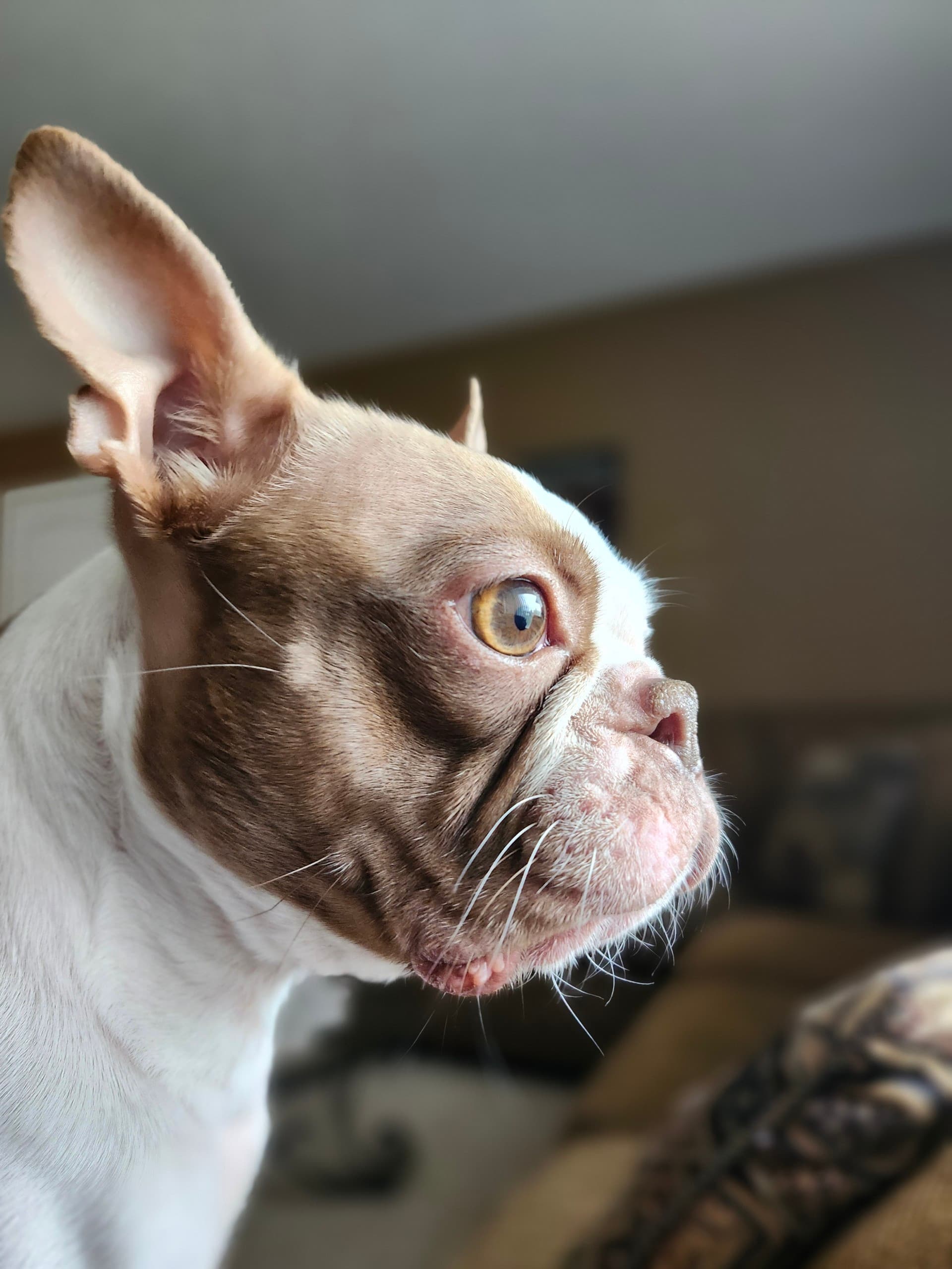 Photo of Ella