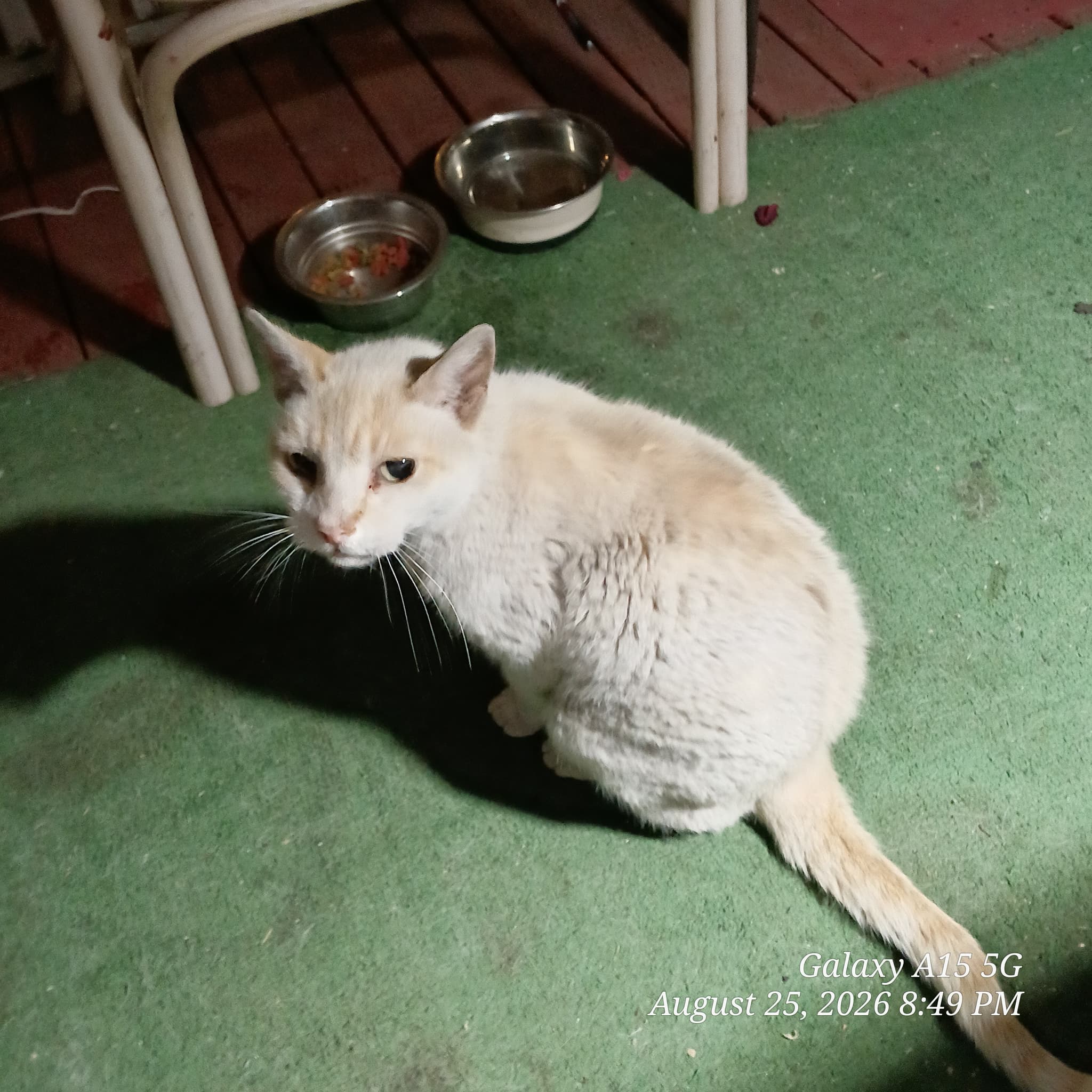 Photo of Bugsy The Outsider