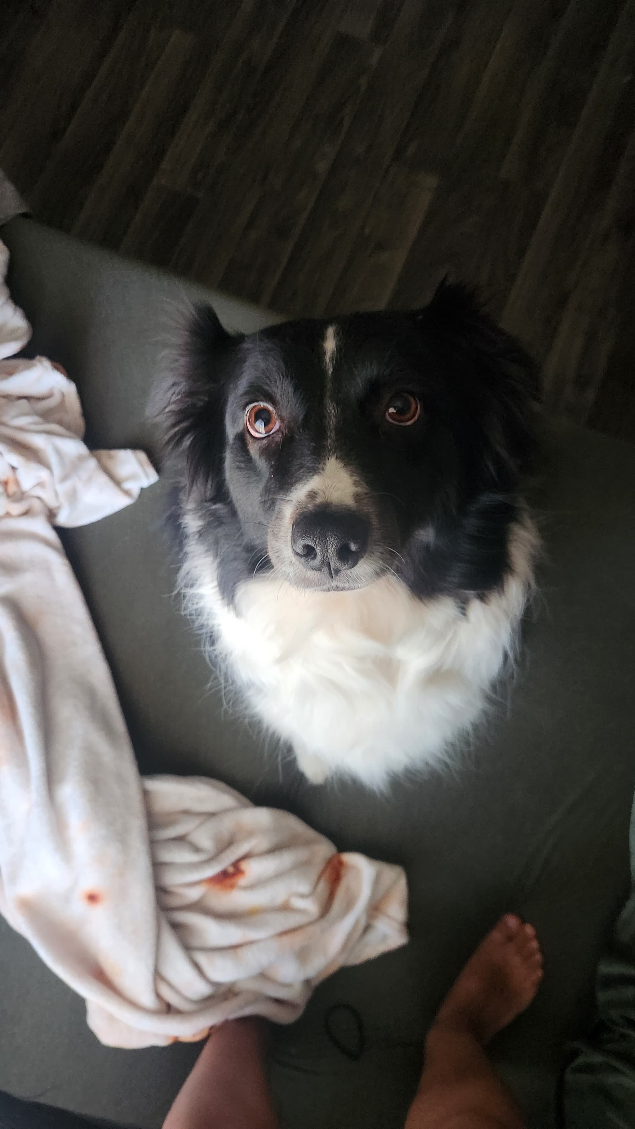 Photo of Piper Eugene Ramirez