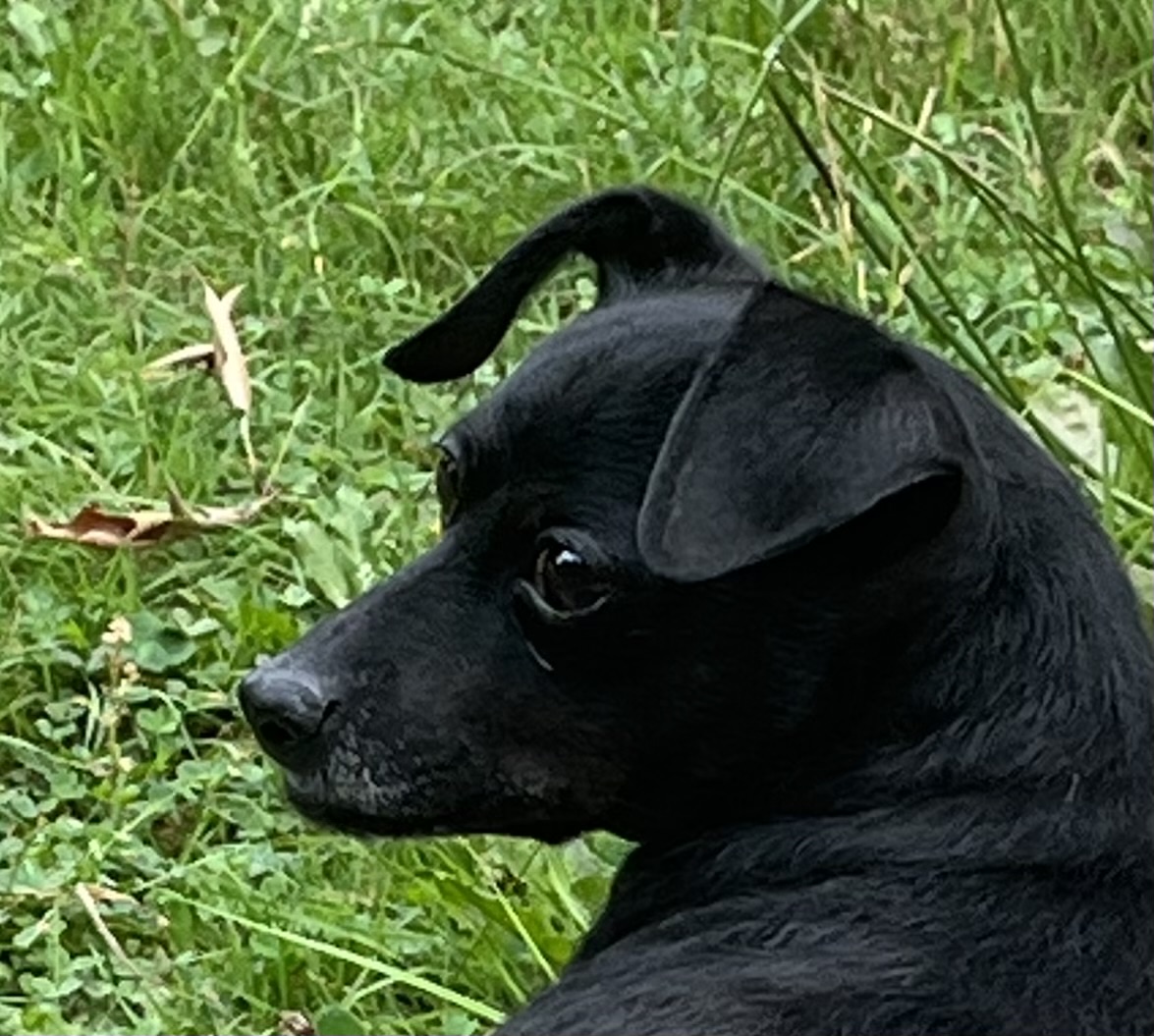 Photo of Minnie