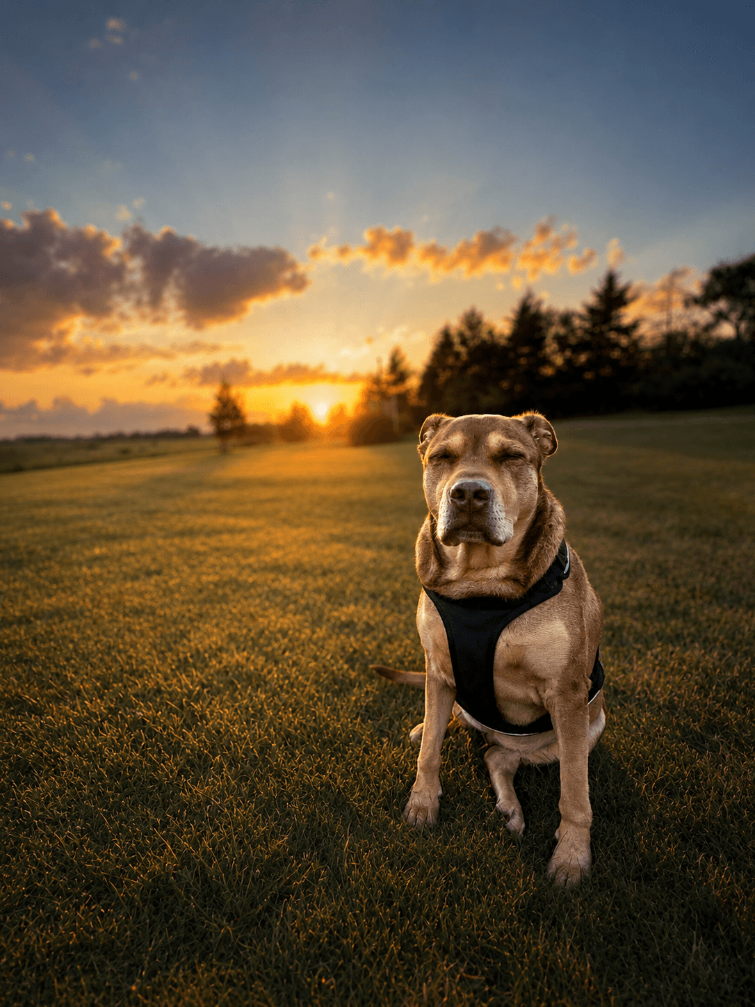 Photo of Novah