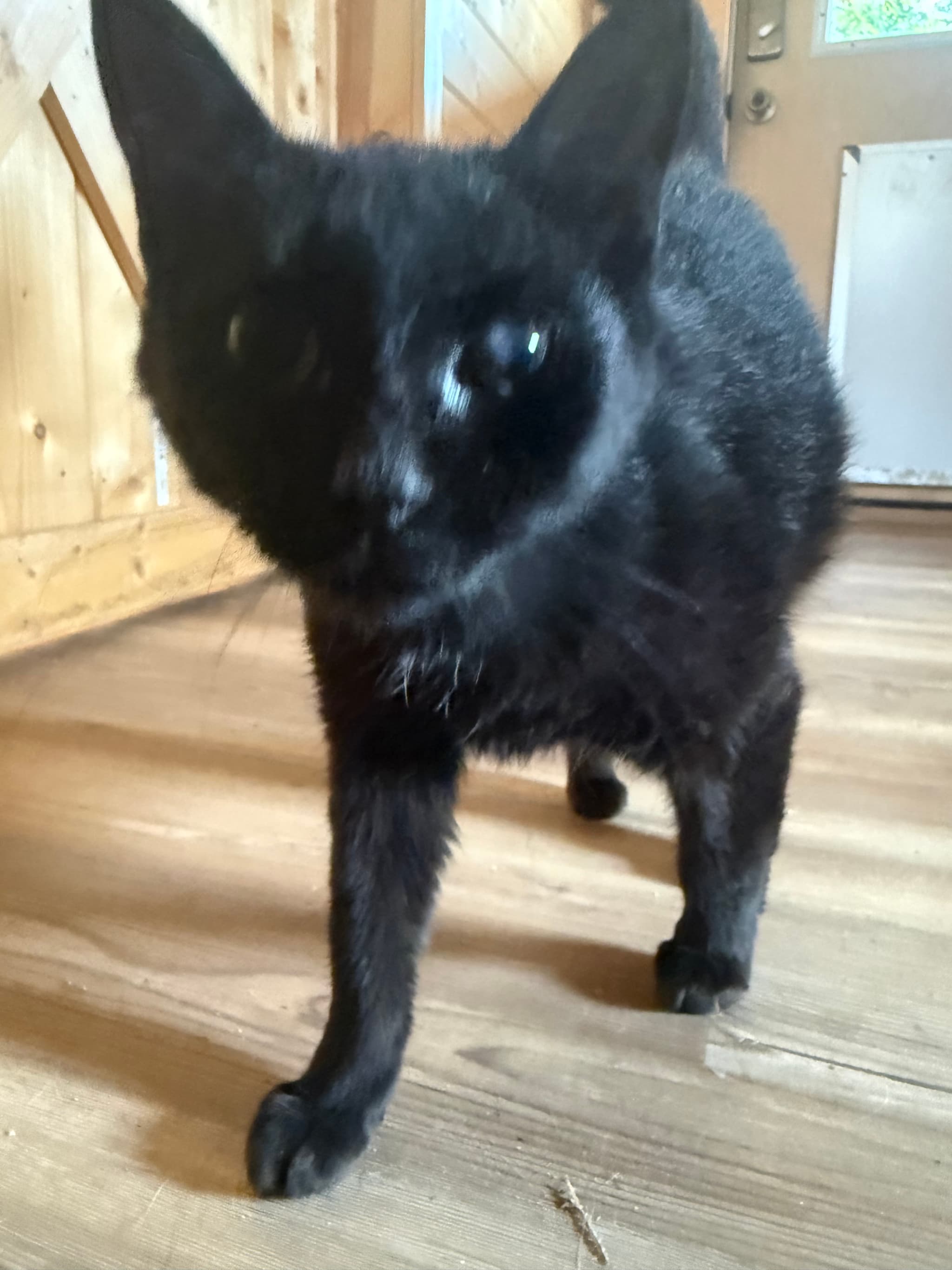 Photo of Trudy