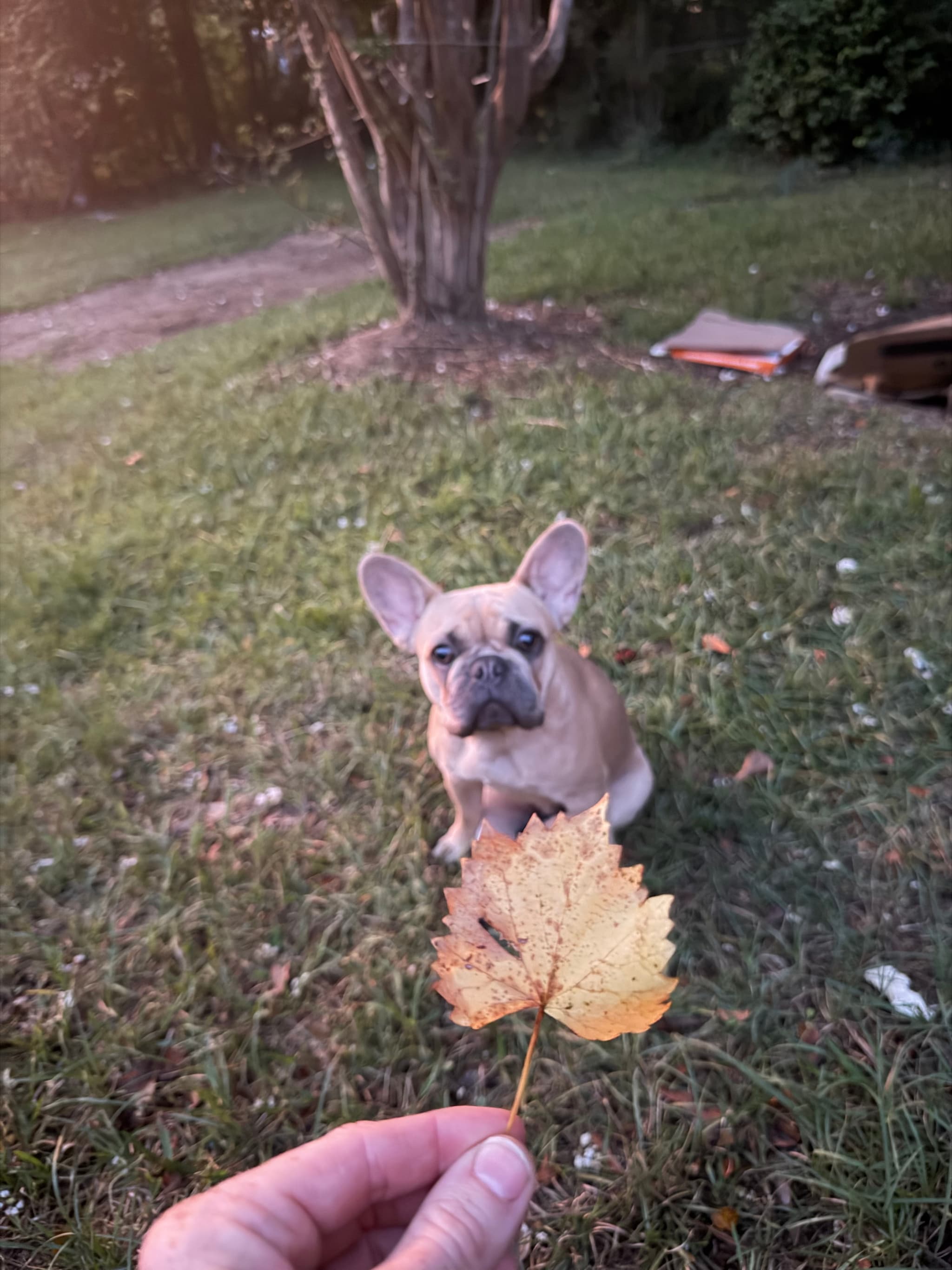 Photo of Precious
