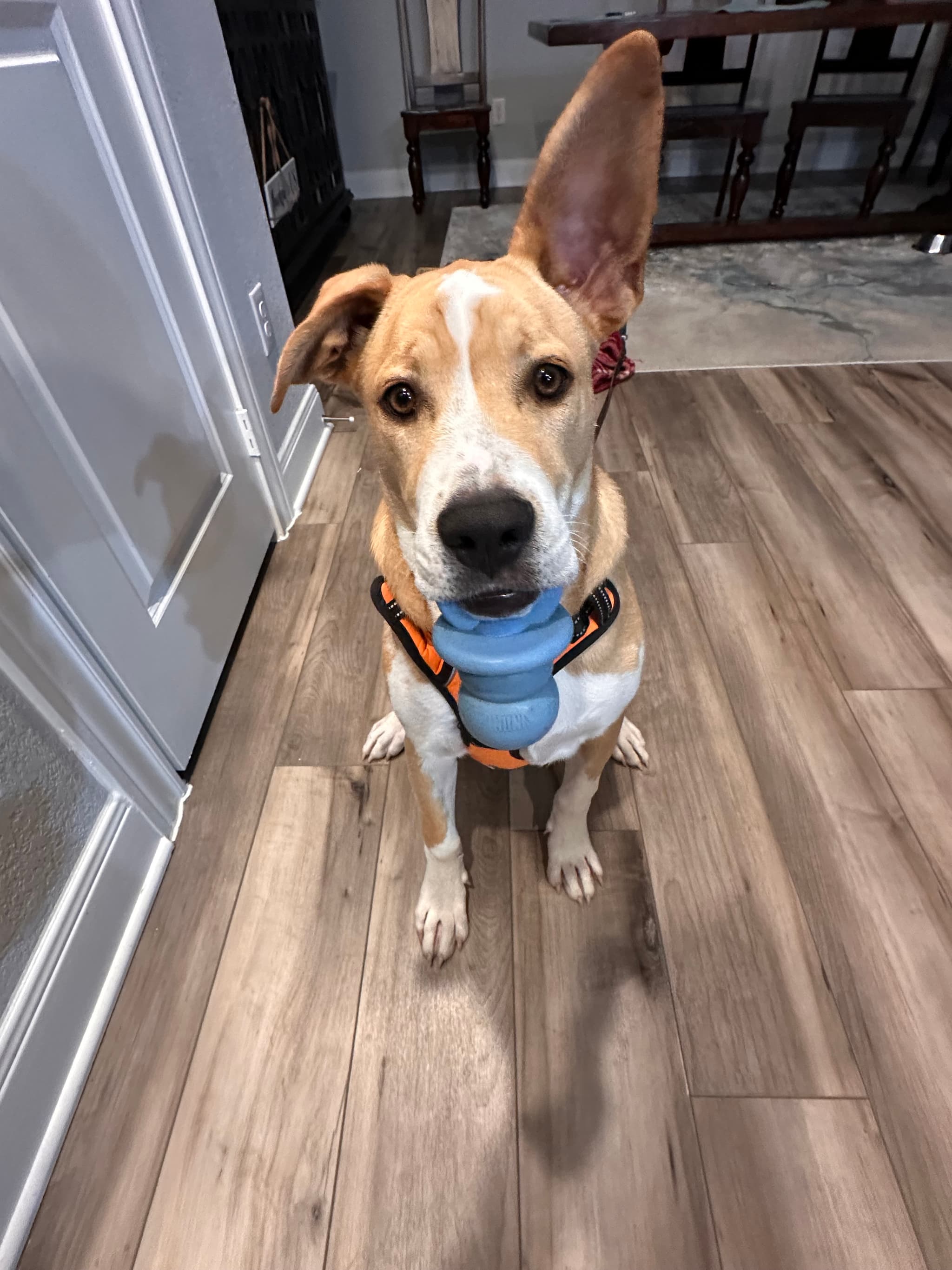 Photo of Churro