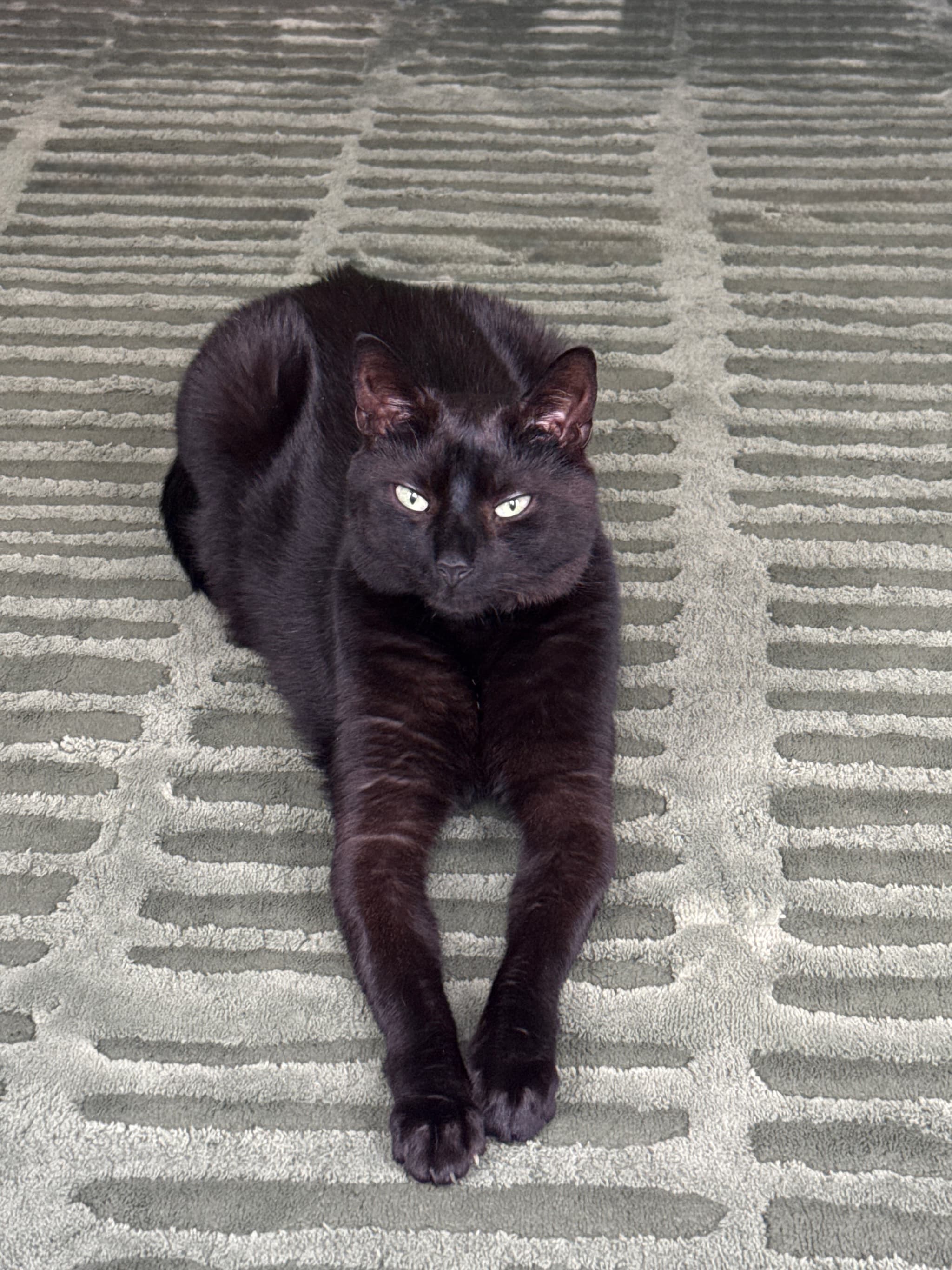 Photo of Mochi