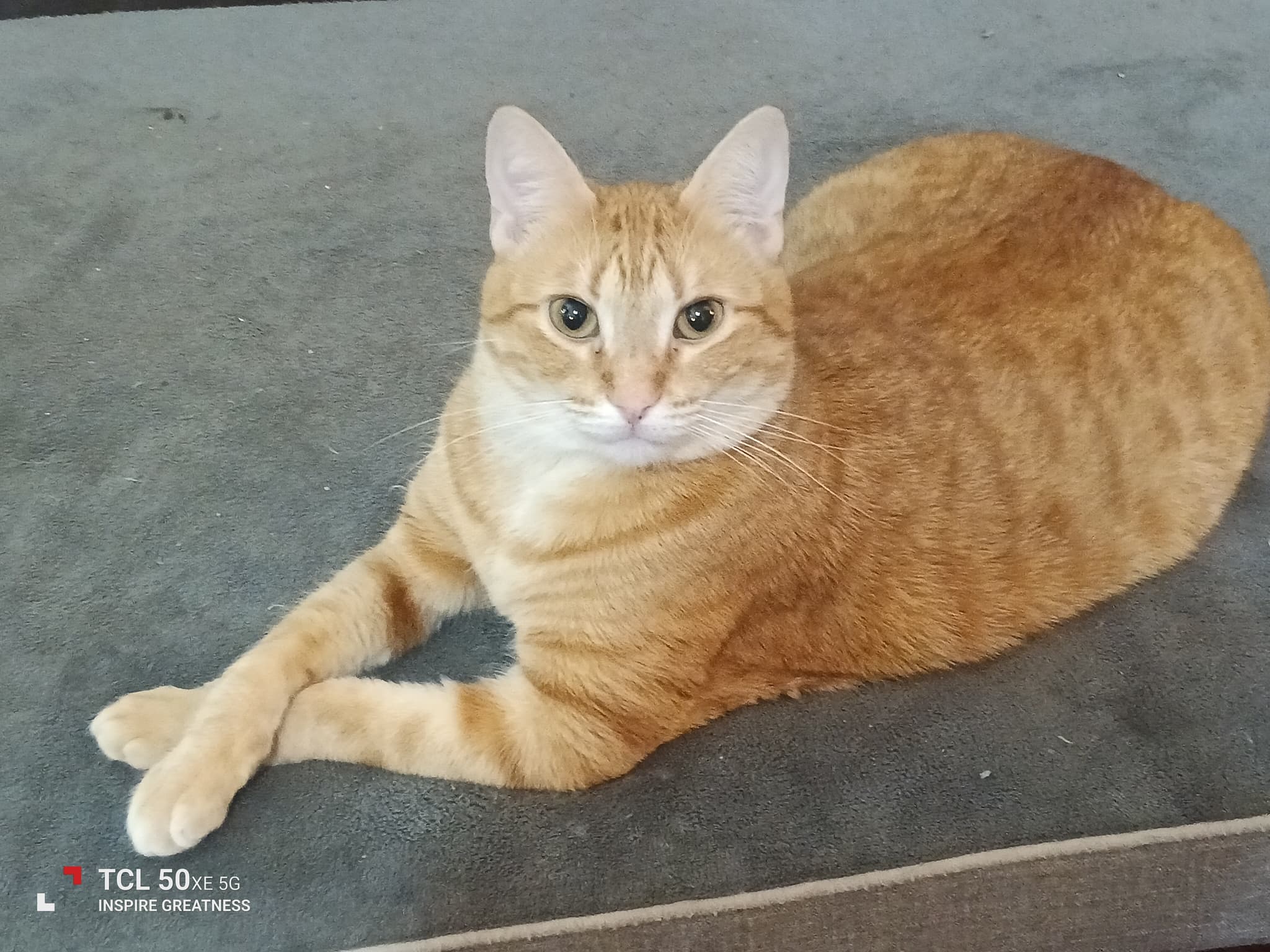 Photo of Popcorn