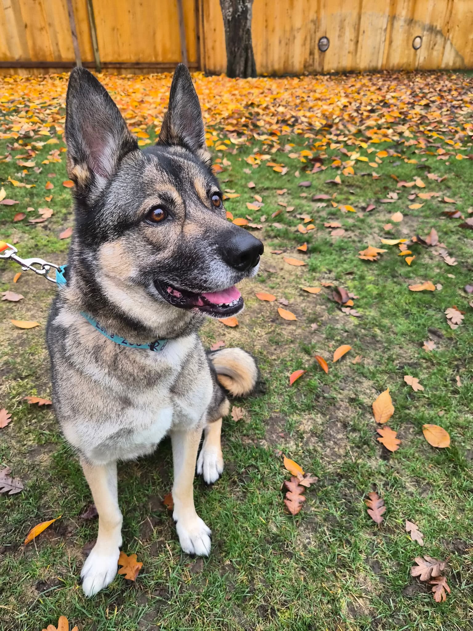 Photo of Esme