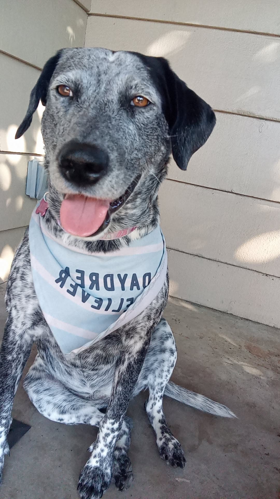 Photo of Lola