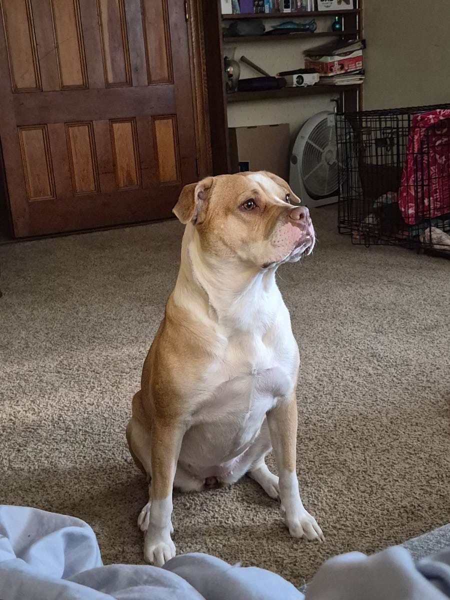 Photo of Pudge  Gerald Wiggle bottom