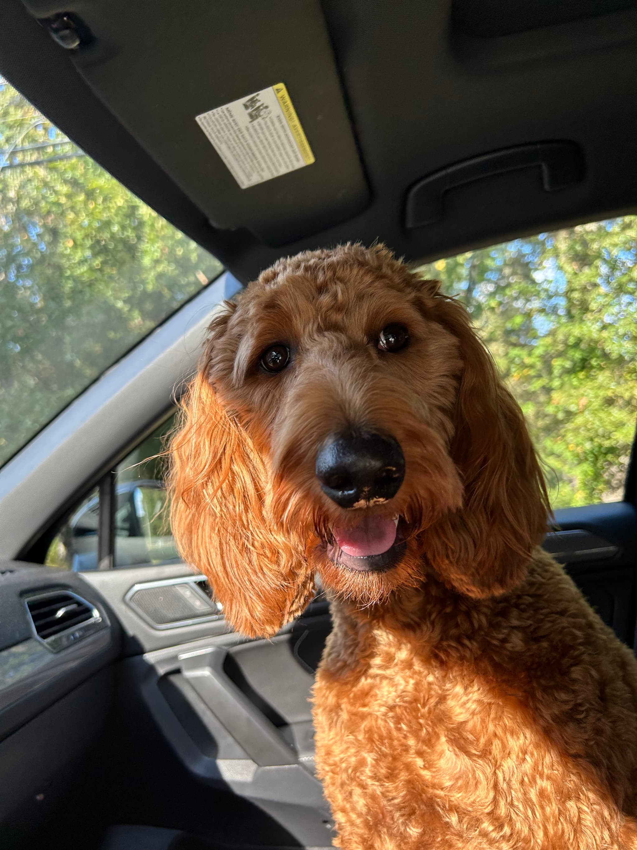 Photo of Maggie