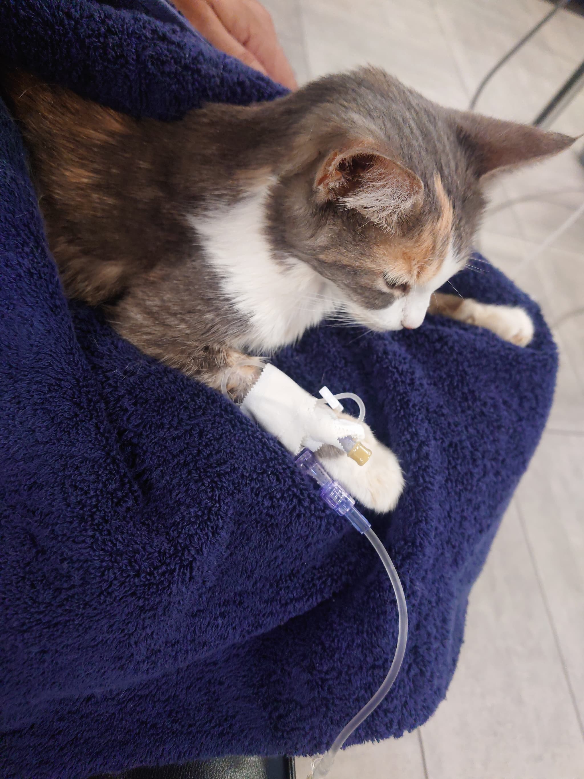 Photo of Jinx