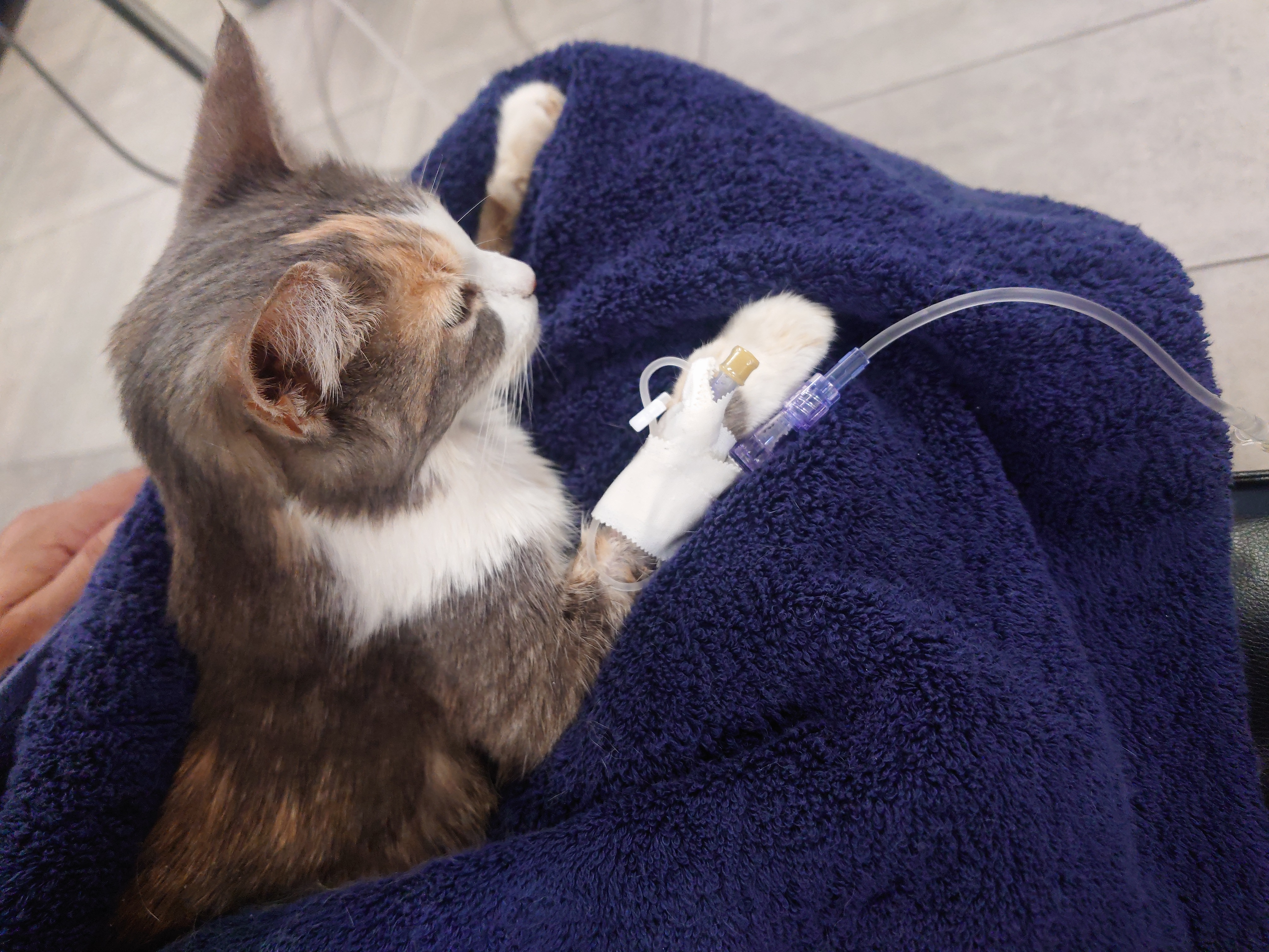 Photo of Jinx