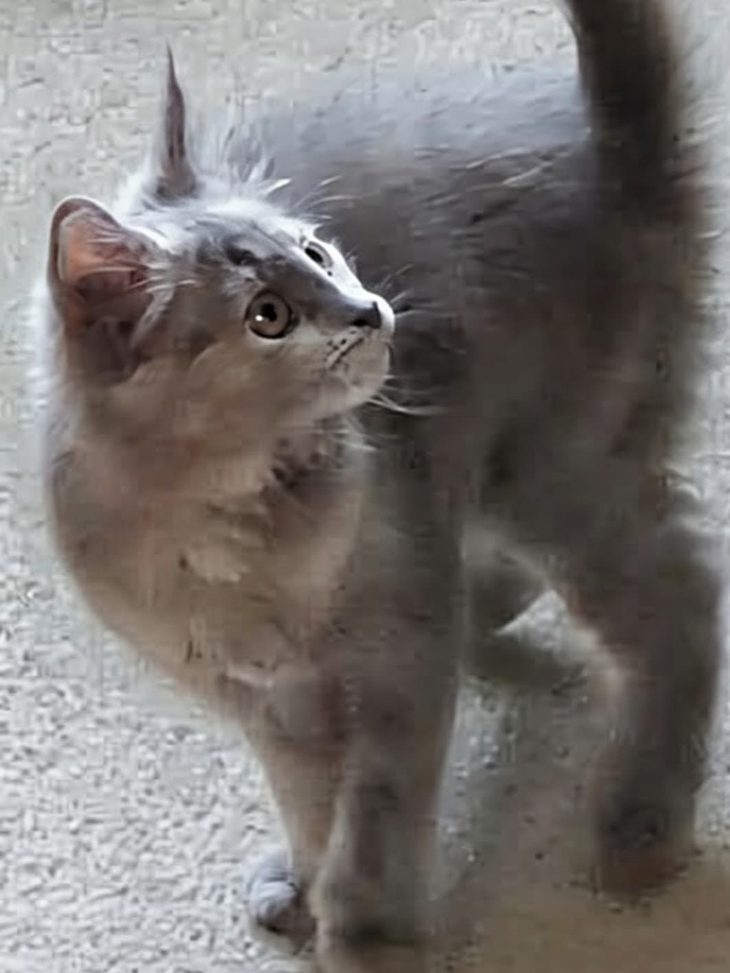 Photo of Stitches