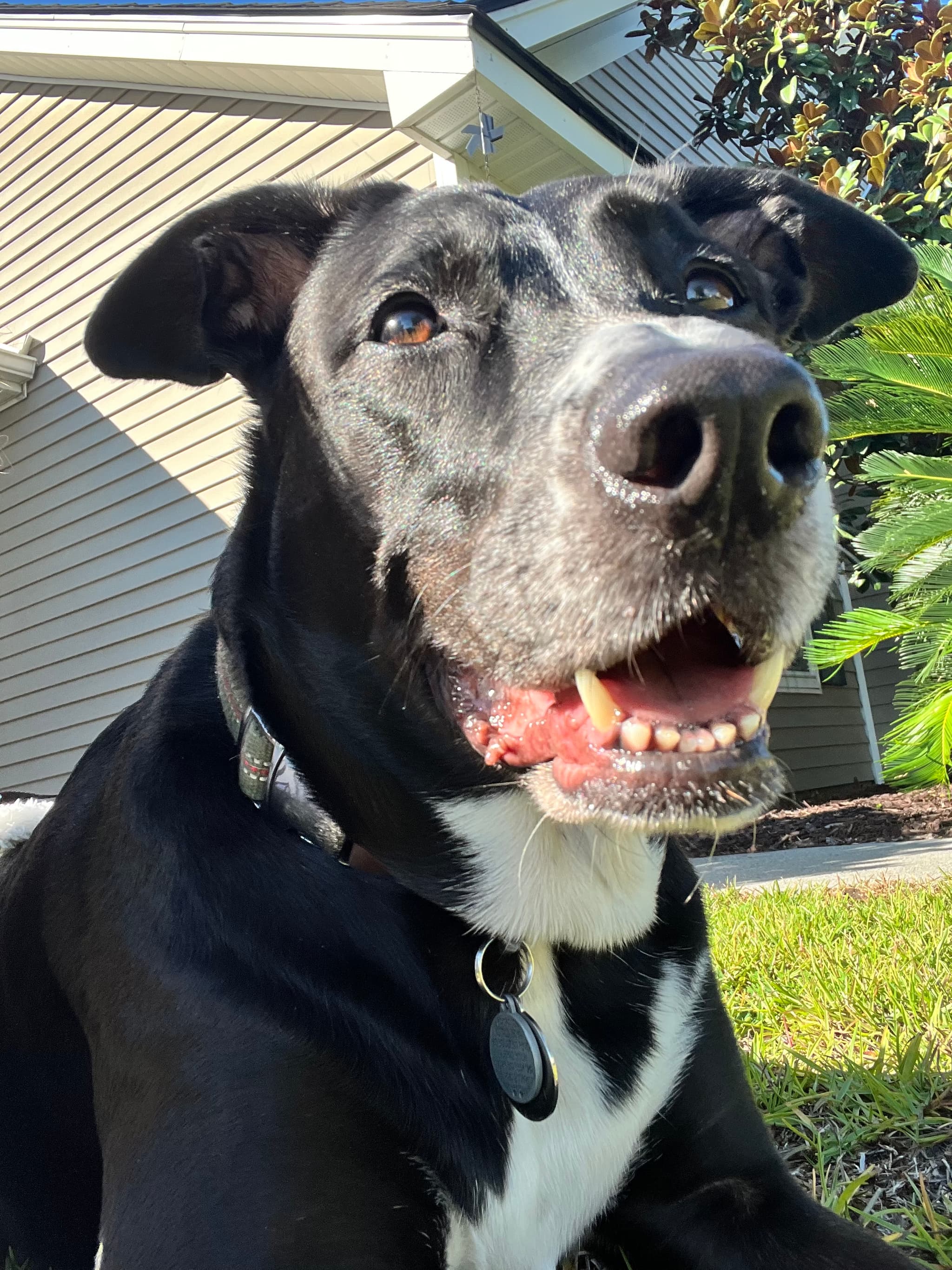 Photo of Cali