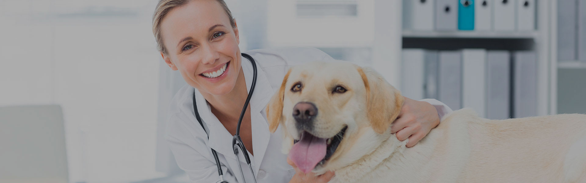 Waggle Aligns With MightyVet to Reduce Emotional Demands on Veterinary Professionals