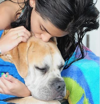 Dog Intestinal Blockage Surgery Cost