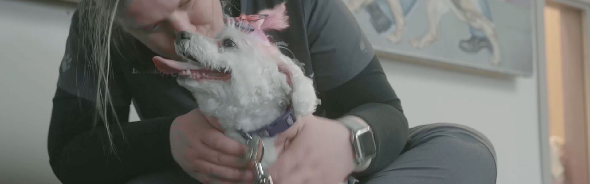 Waggle Success Story: Meet Luna