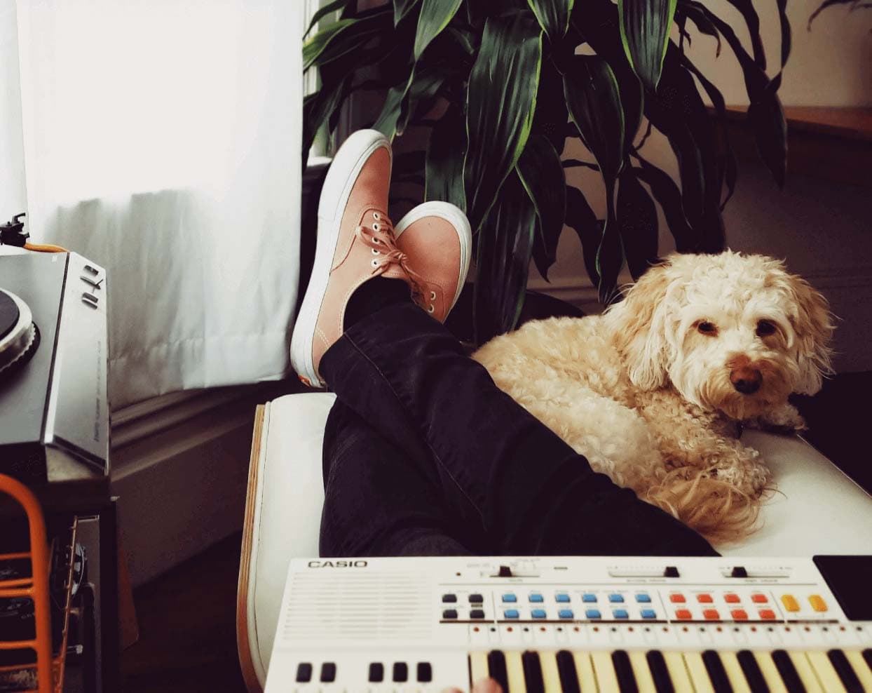 In the music industry