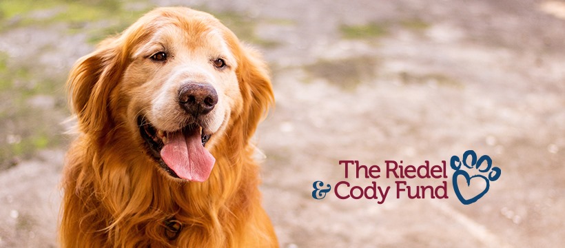 Riedel & Cody Fund: Ten Years of Helping Pets with Cancer
