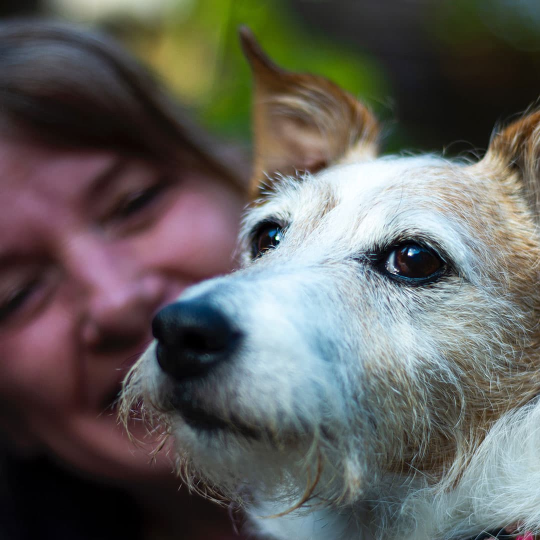 A senior with a mixed-breed dog