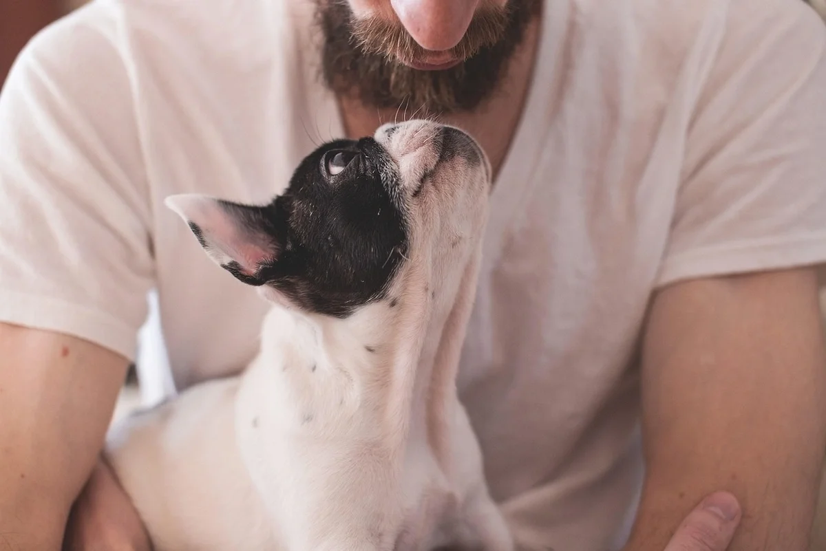 How families are finding help with vet bills in today's economy