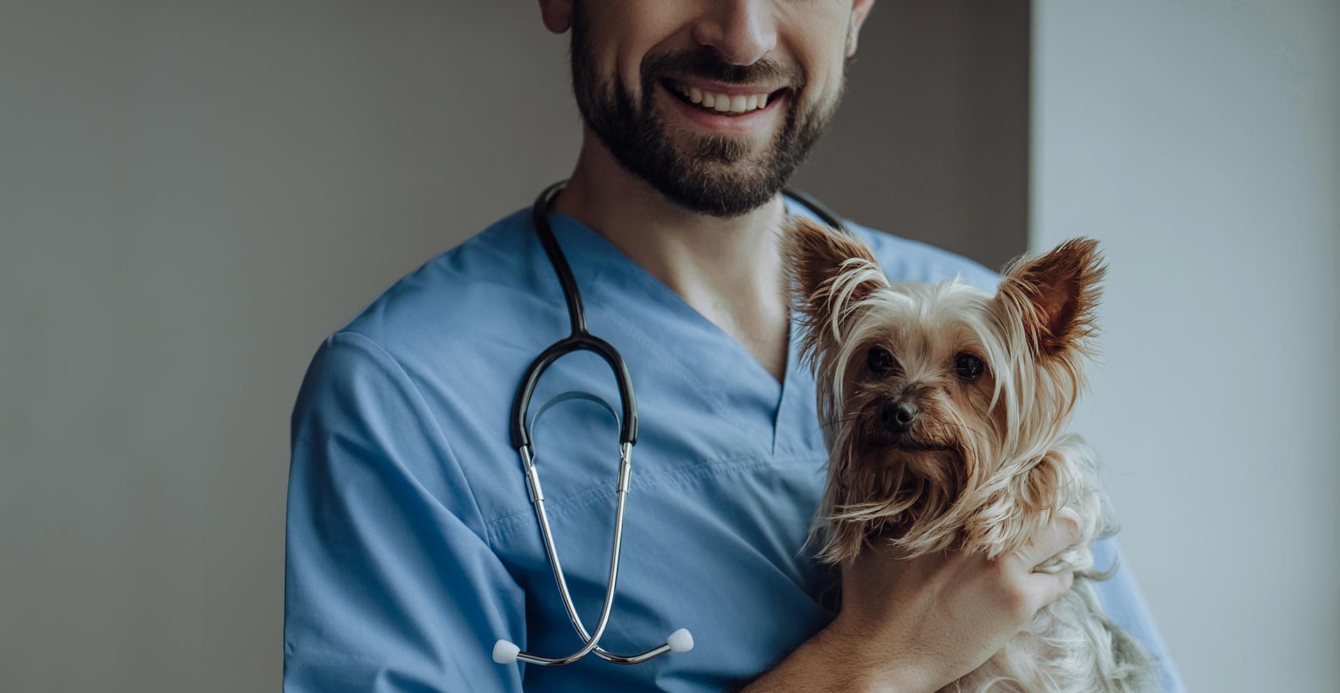 Dog Luxating Patella Surgery: How Much Does It Cost?
