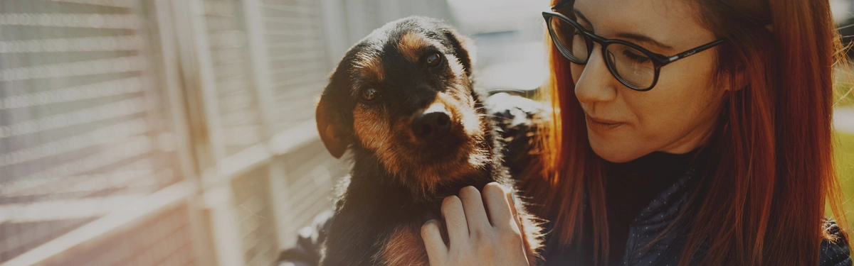 Animal Charities Everyone Should Know About