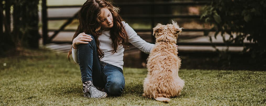 Nowhere to Go: The Need for Pet-Friendly Domestic Violence Shelters