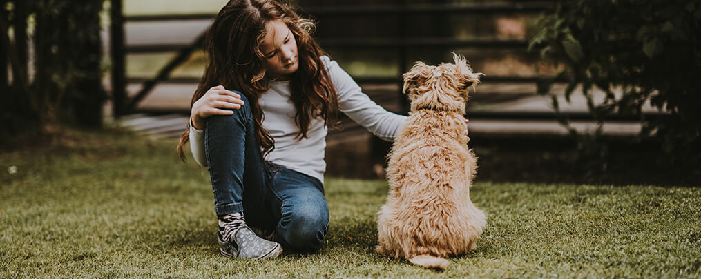 Nowhere to Go: The Need for Pet-Friendly Domestic Violence Shelters