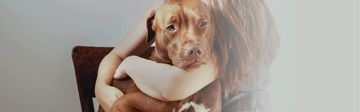 5 Tips to Avoid Pet Care Debt