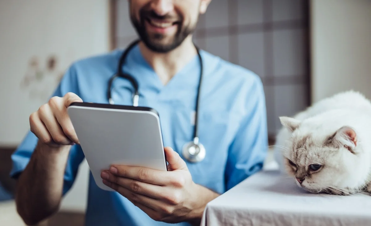 A Pet Parent’s Guide to Insurance: Caring for Them Through the Unexpected