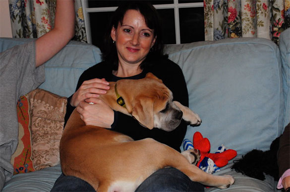 A pet helped by Eli's Fund