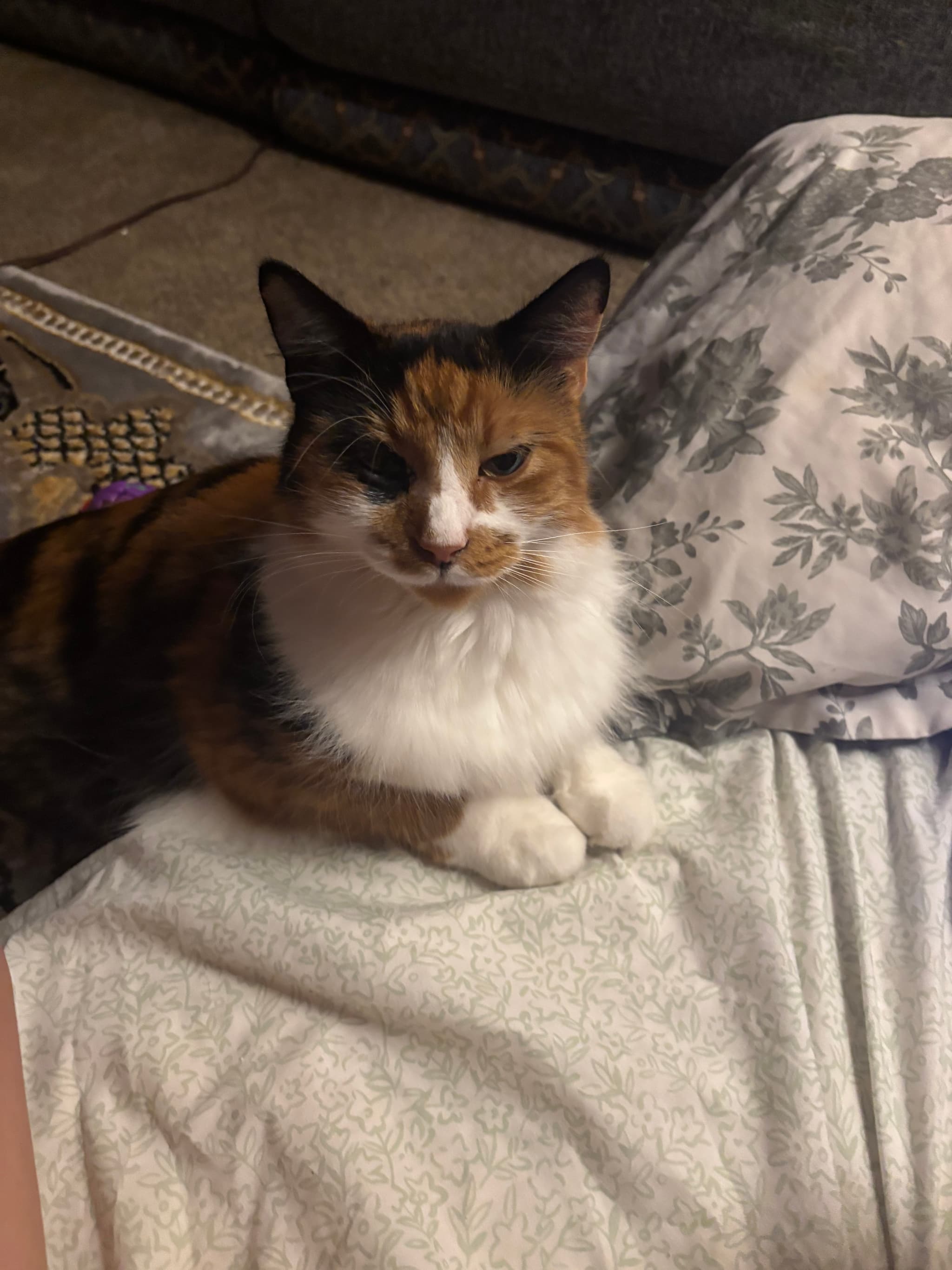 Puffy