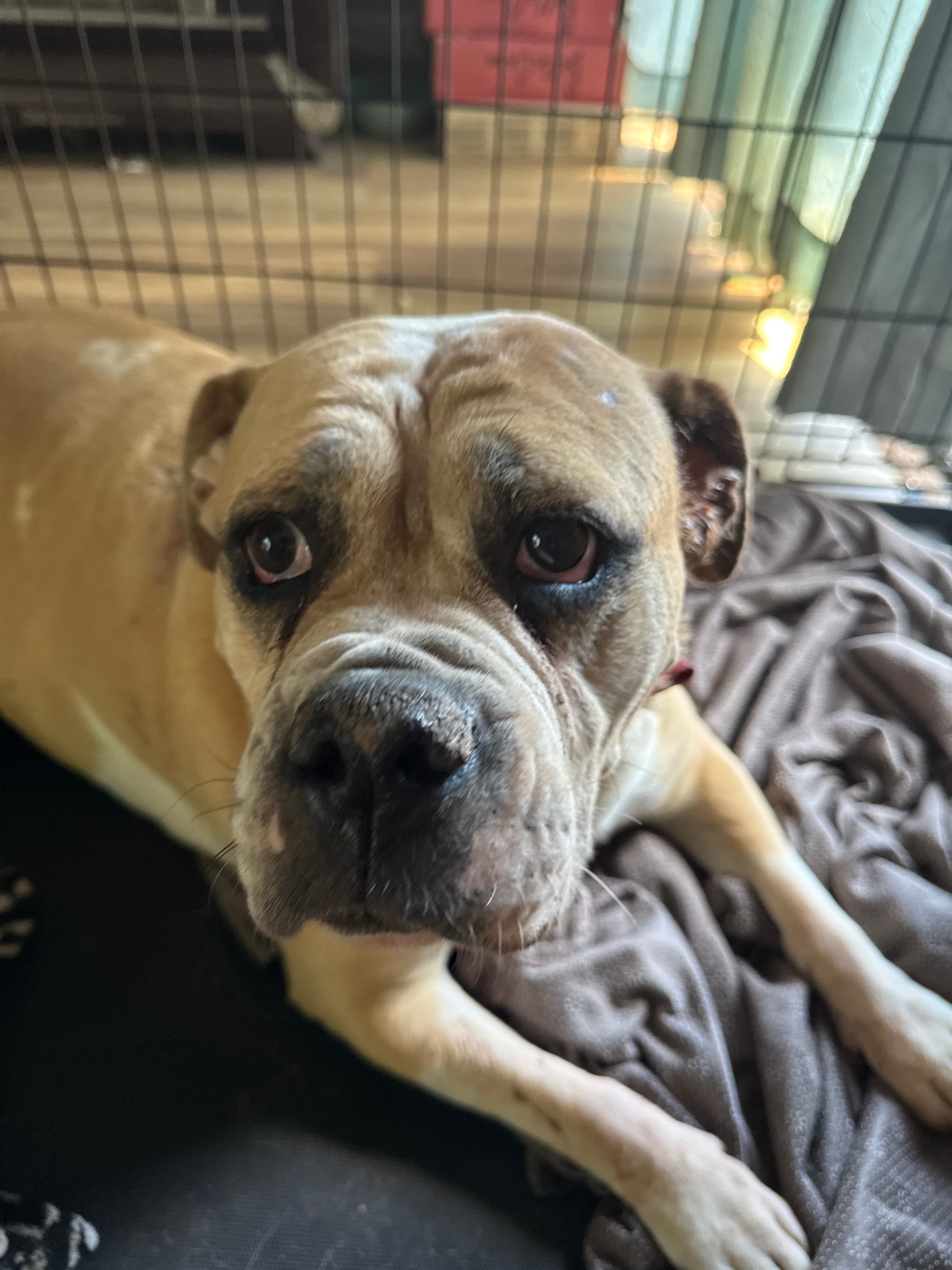 Maggie