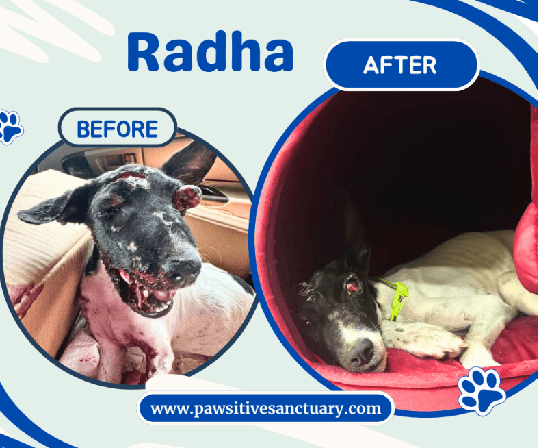Radha