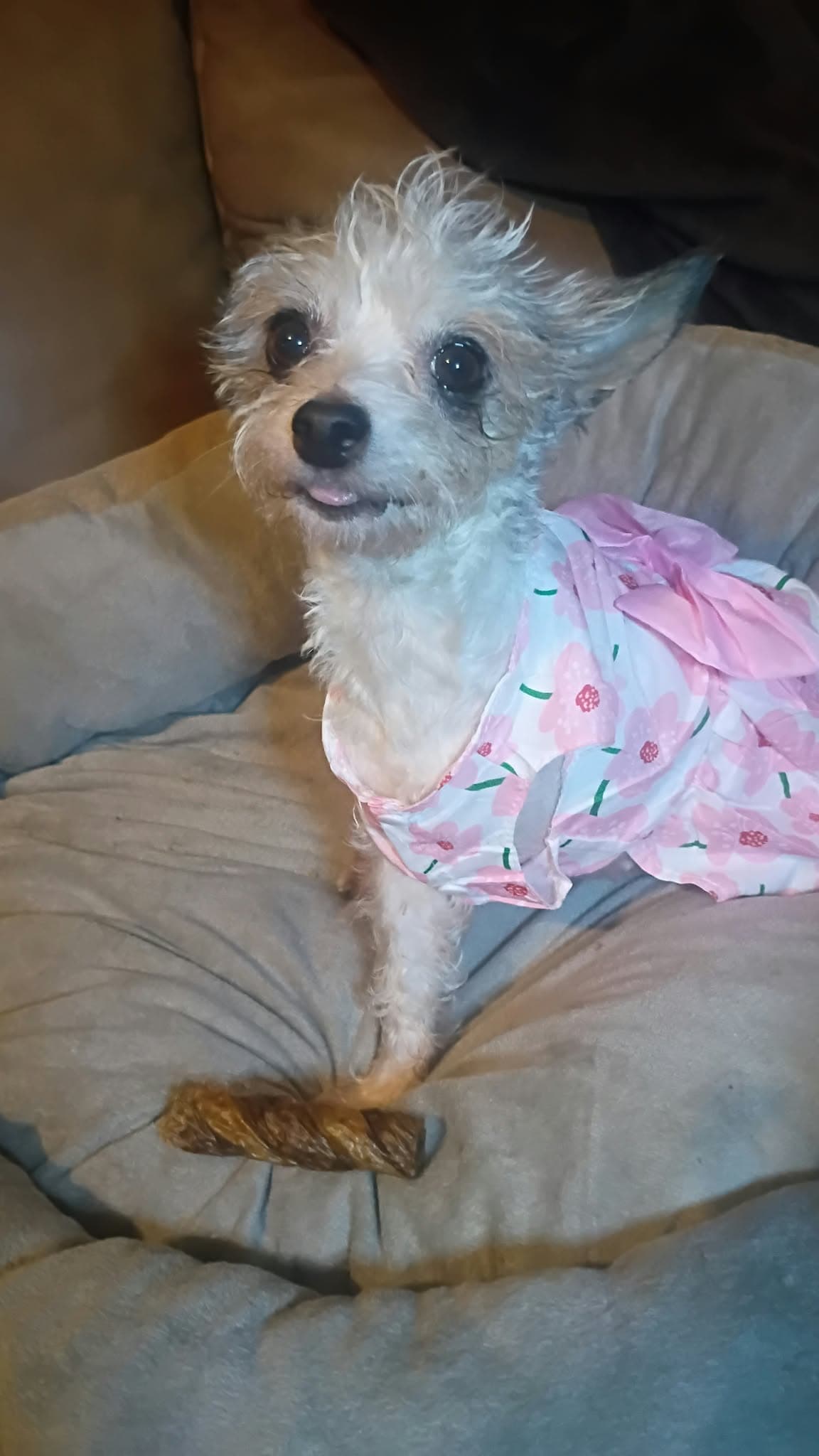 Peggy