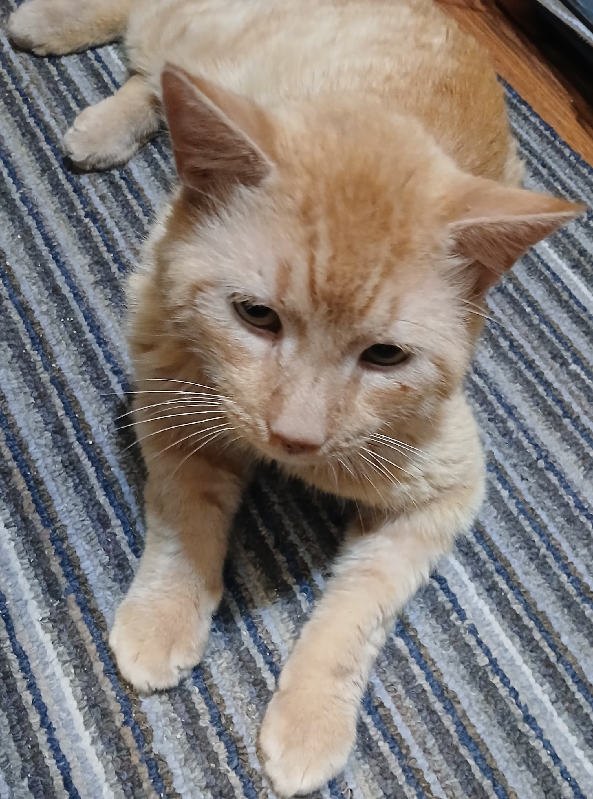 Stanley
