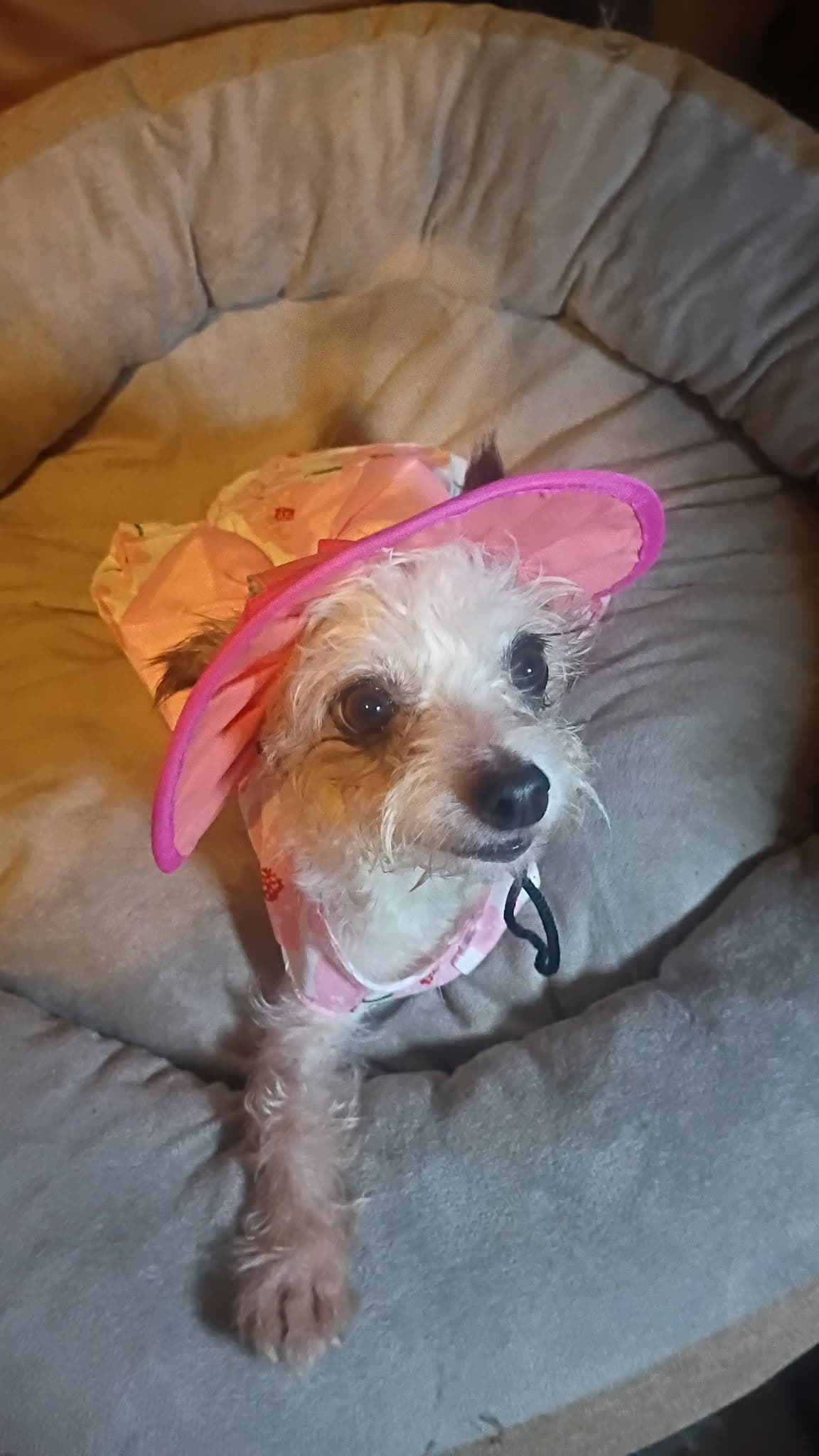 Peggy