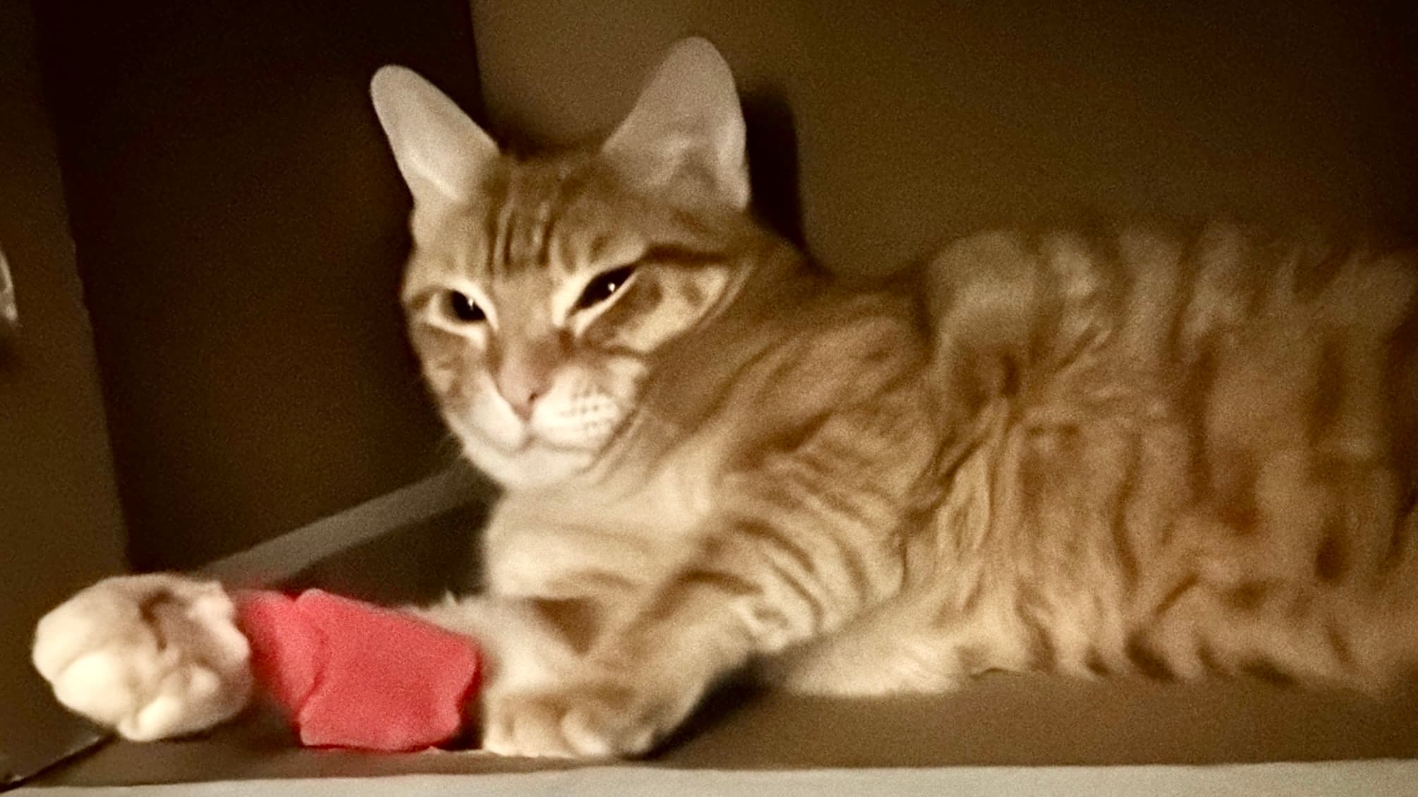 Ragnar