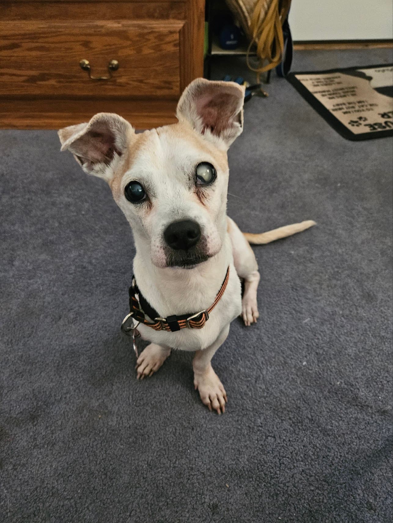Max