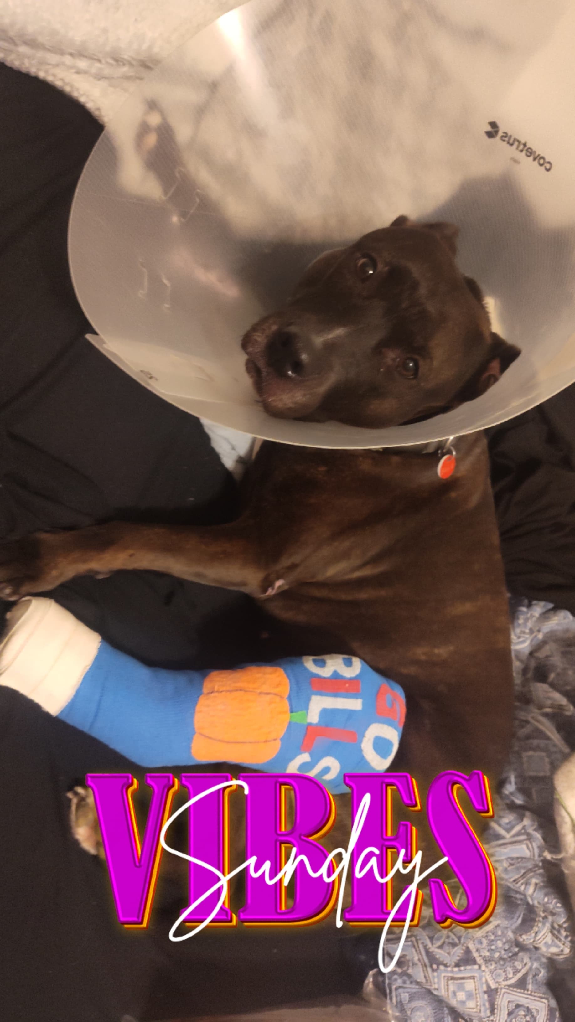 Cast & cone