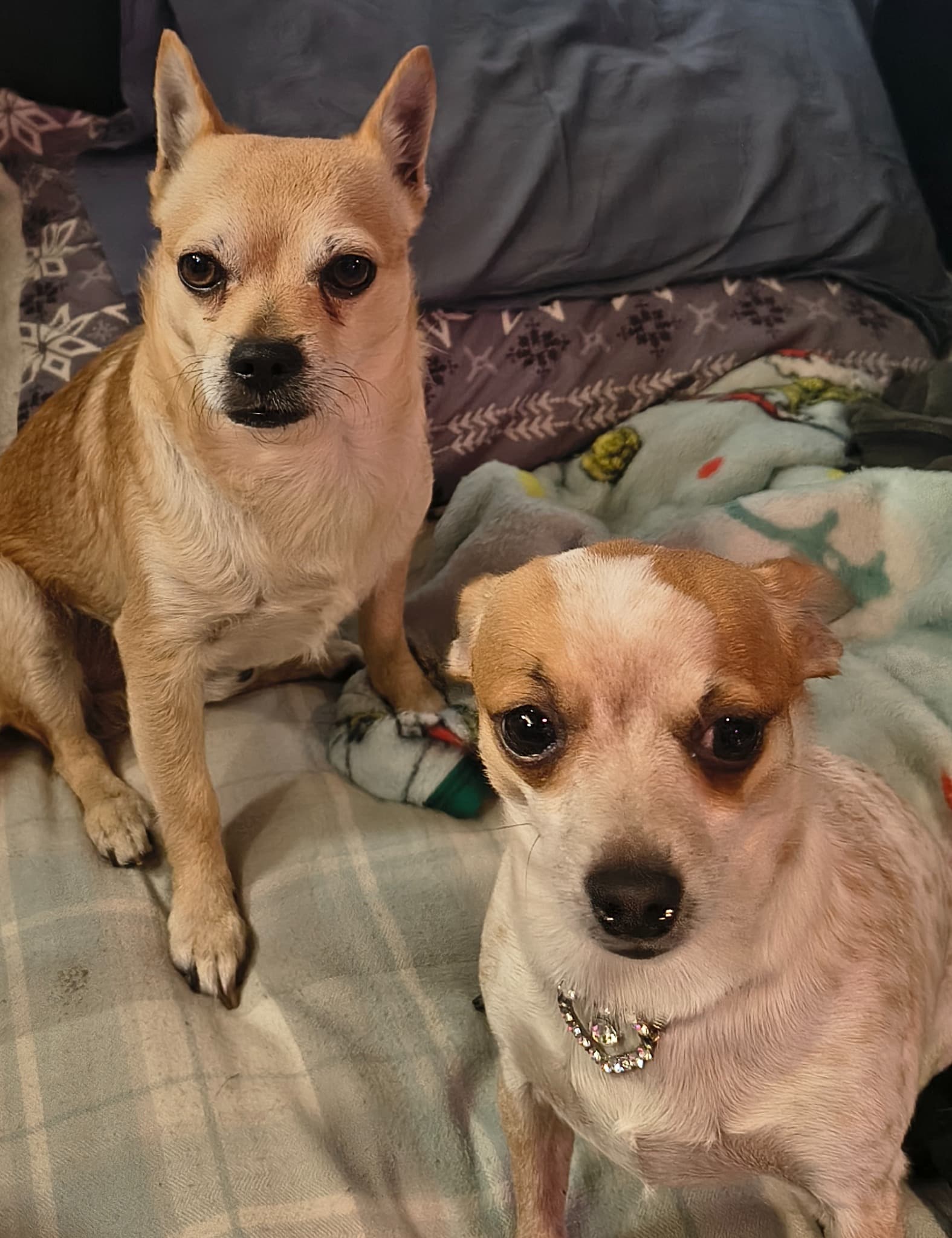 Him and his besty "BeBe"!