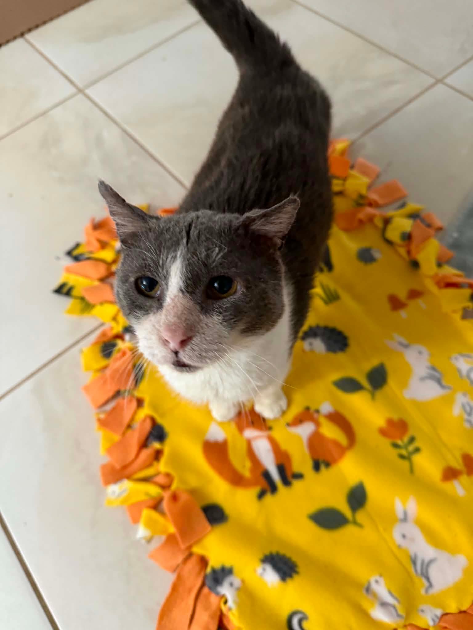 Finn