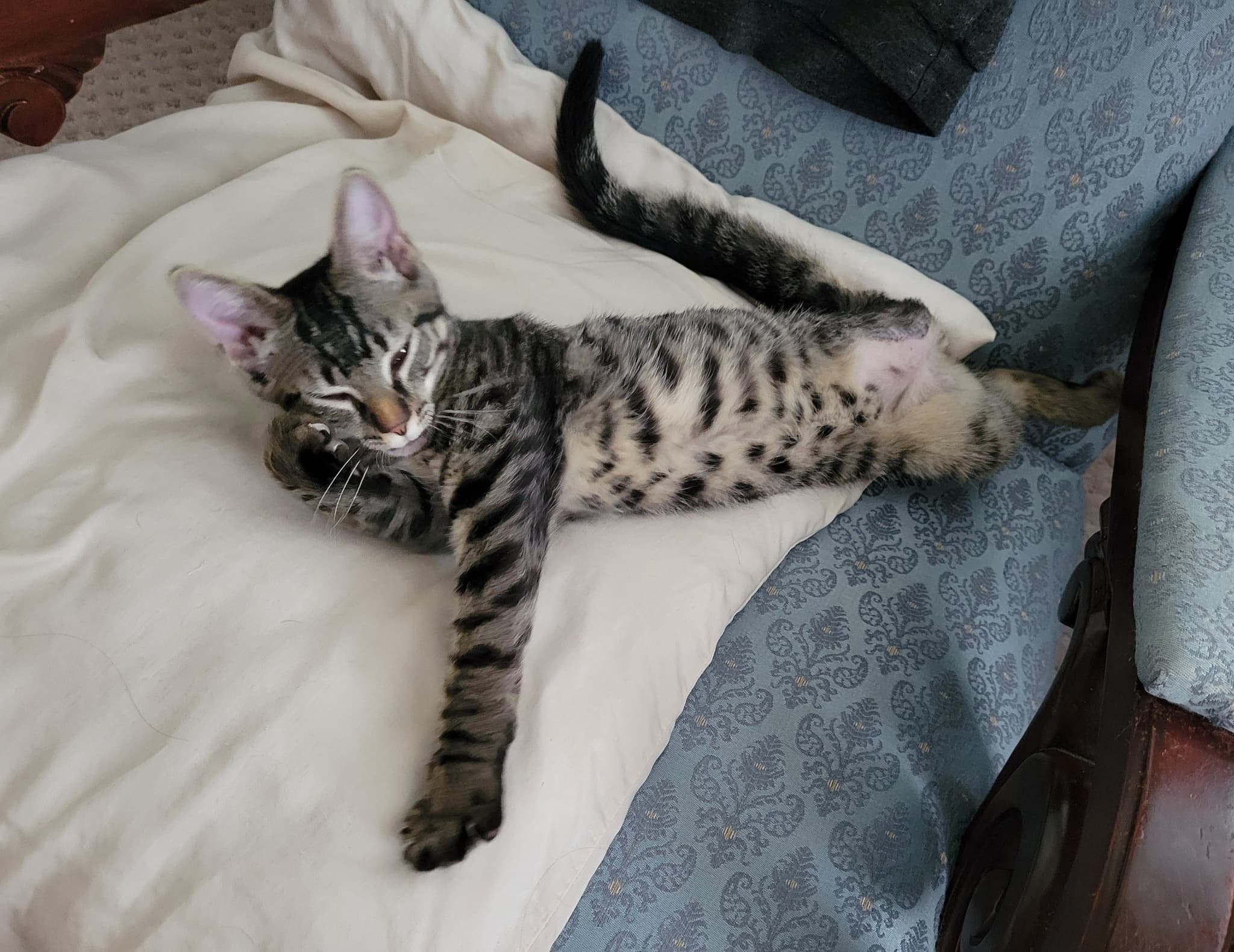 Living his best life!