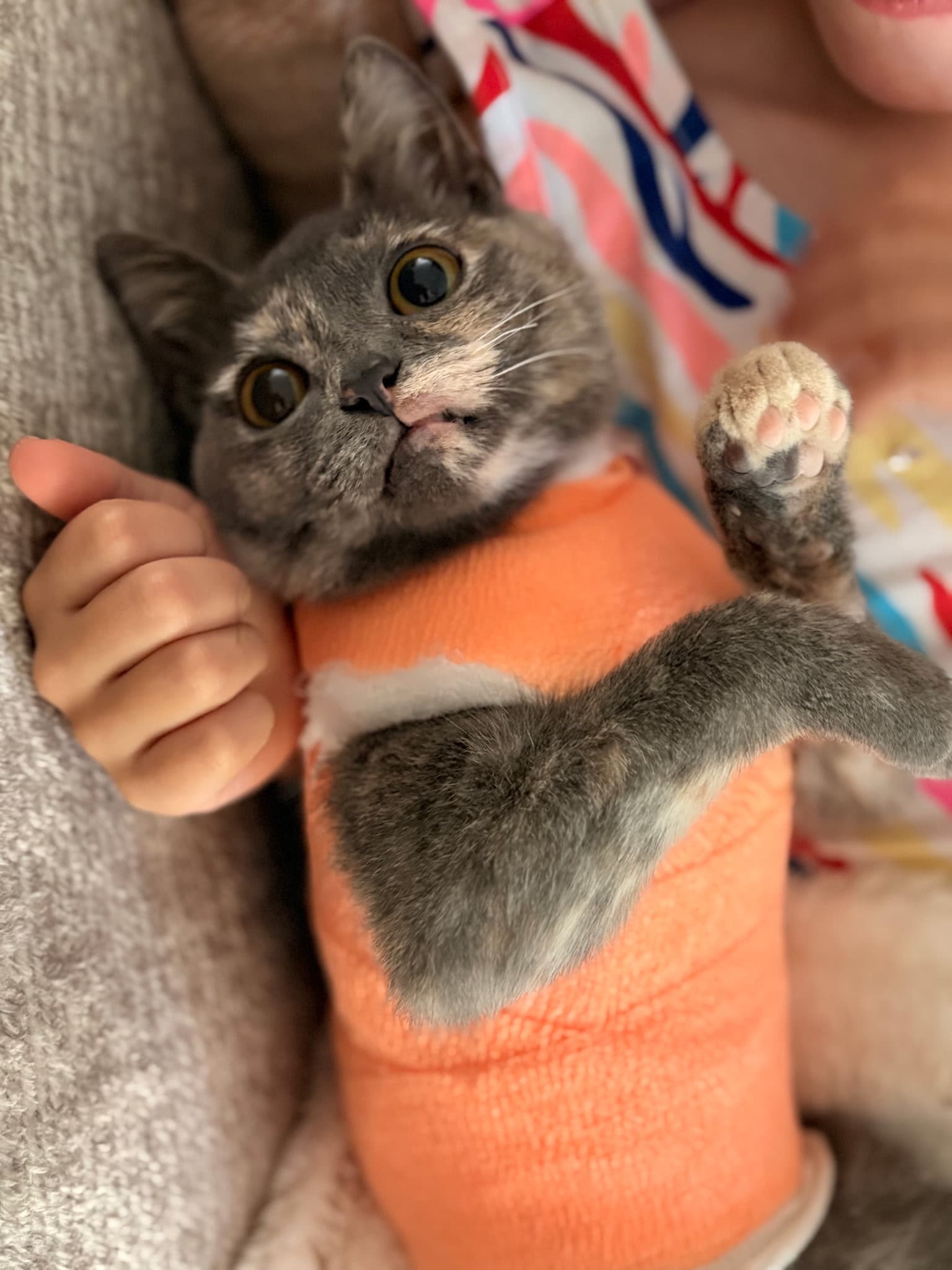 Xena update!