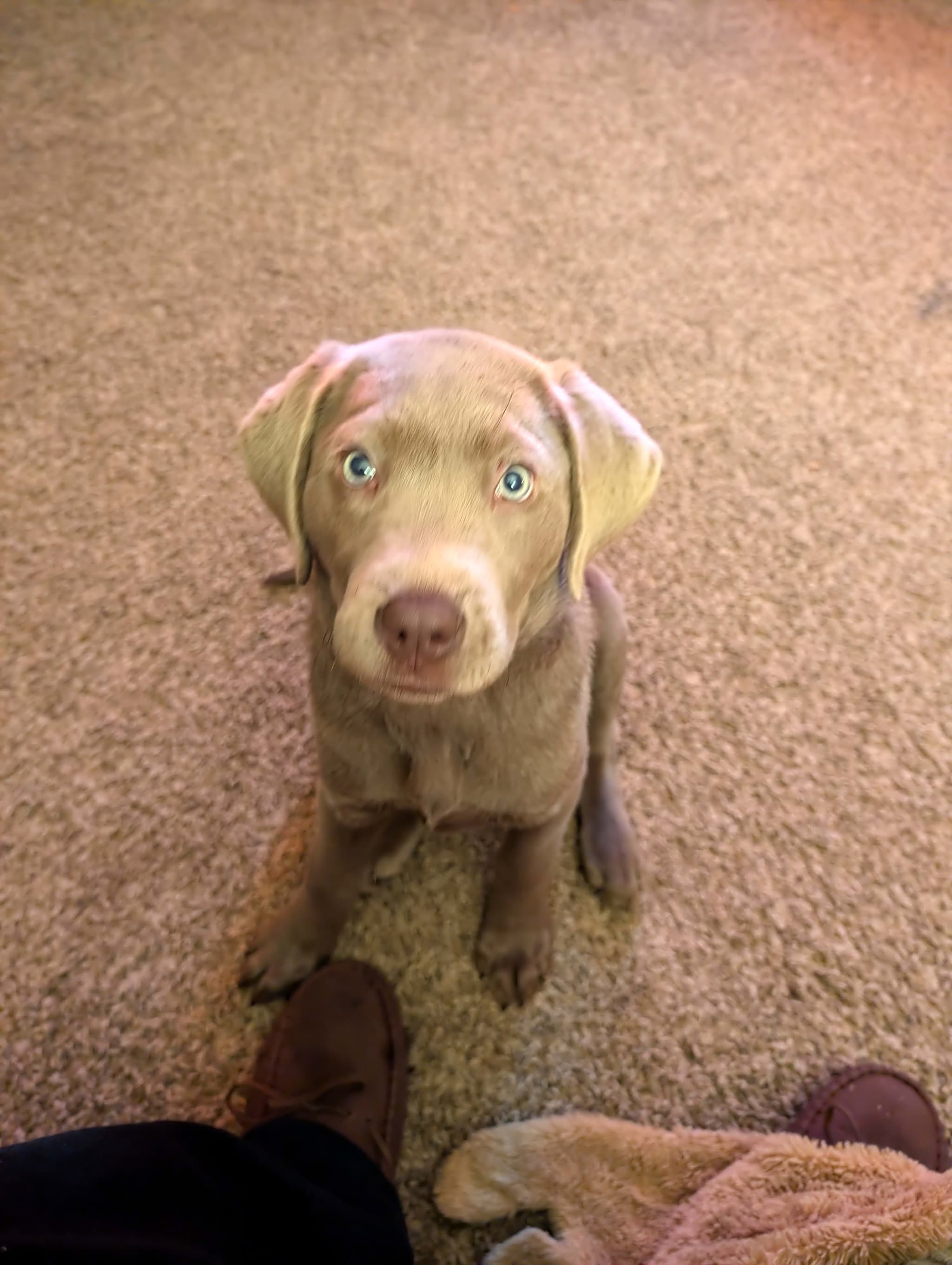 Photo of Smokey