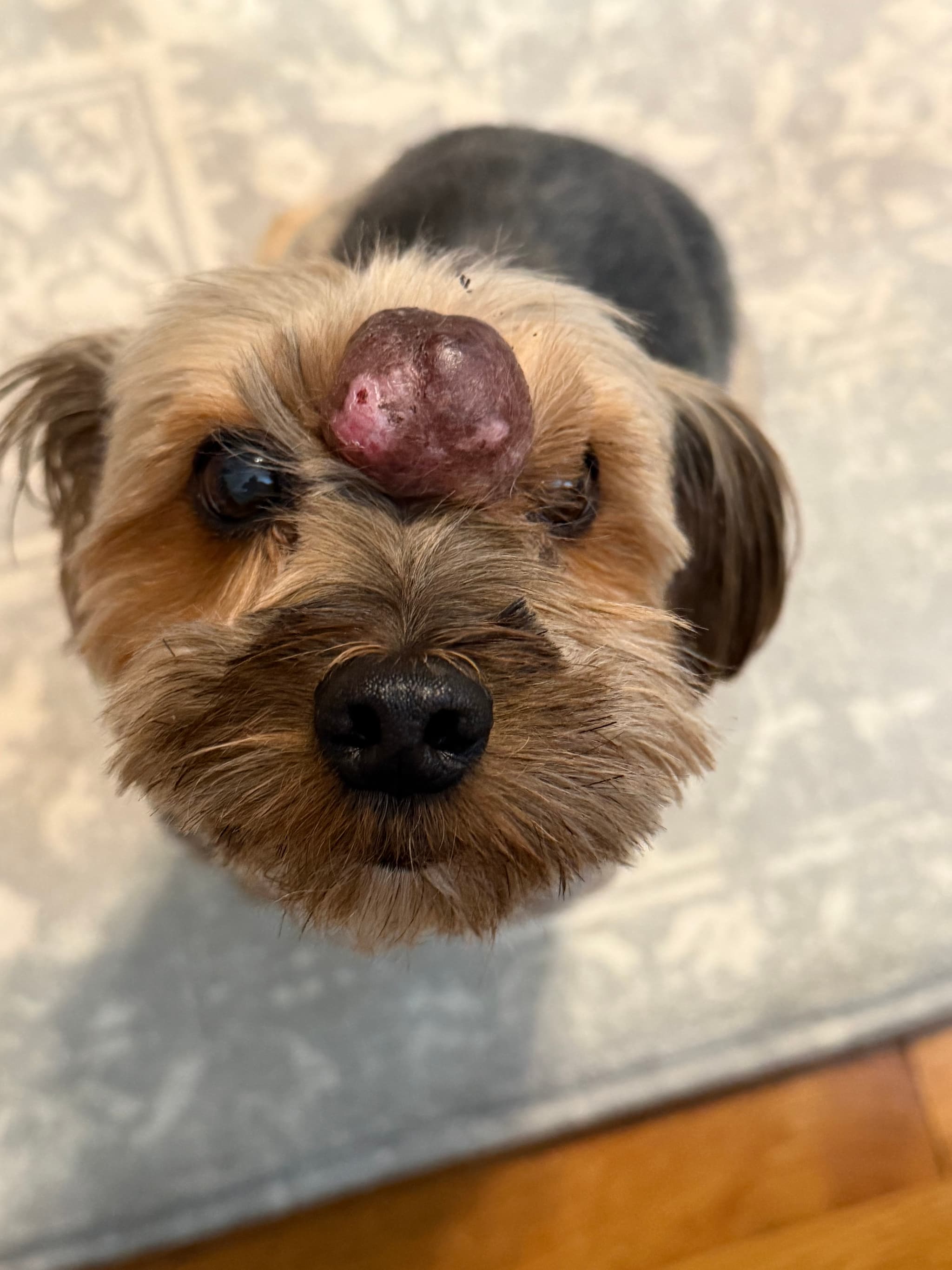Photo of Max